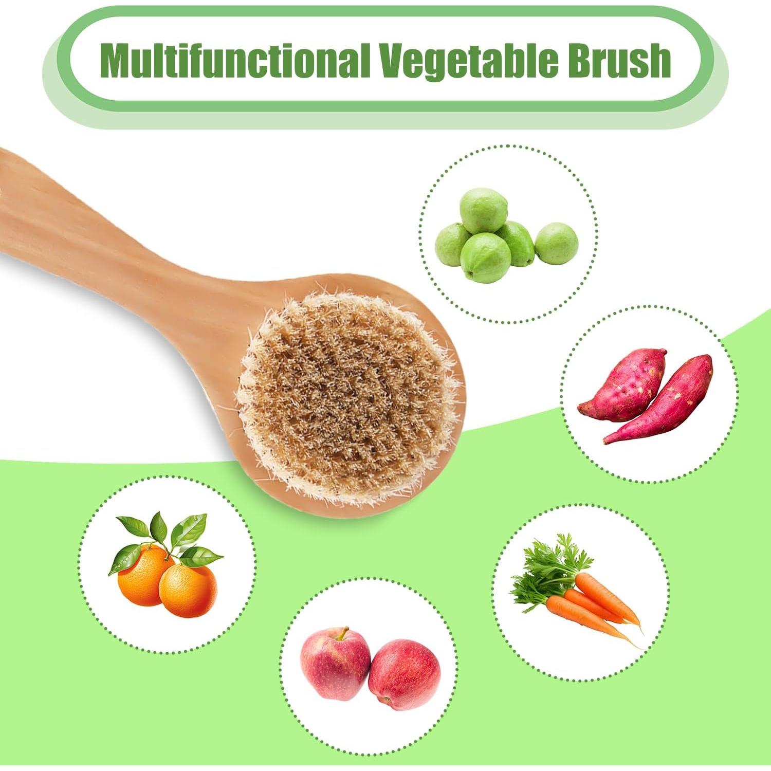 Cepillo de Verduras PEUTIER 20x8 cm Madera Ergonómico