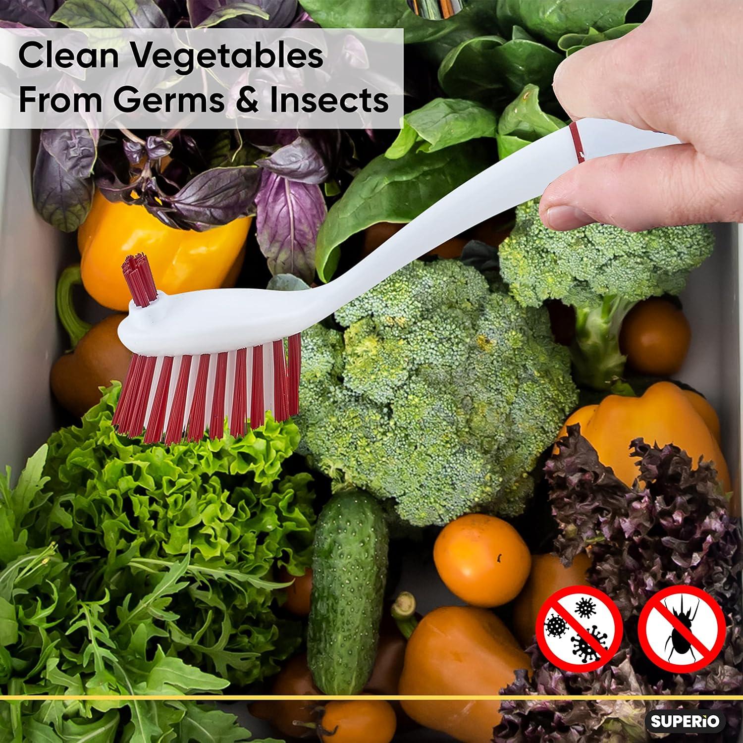 Cepillo de Cocina Superio para Frutas y Verduras Rojo 28 cm