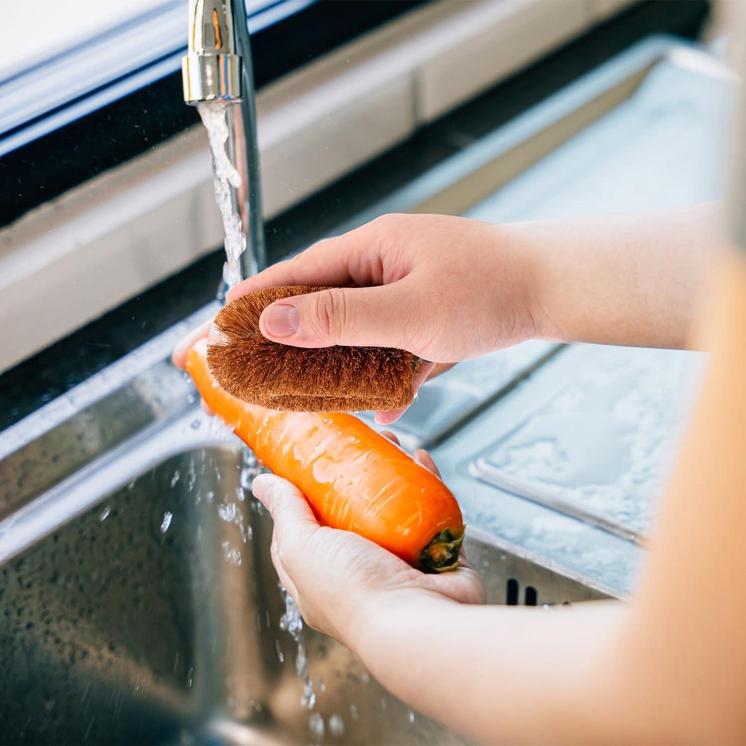 2 Cepillos de Limpieza de Verduras PEUTIER de Coco 8x9.5cm