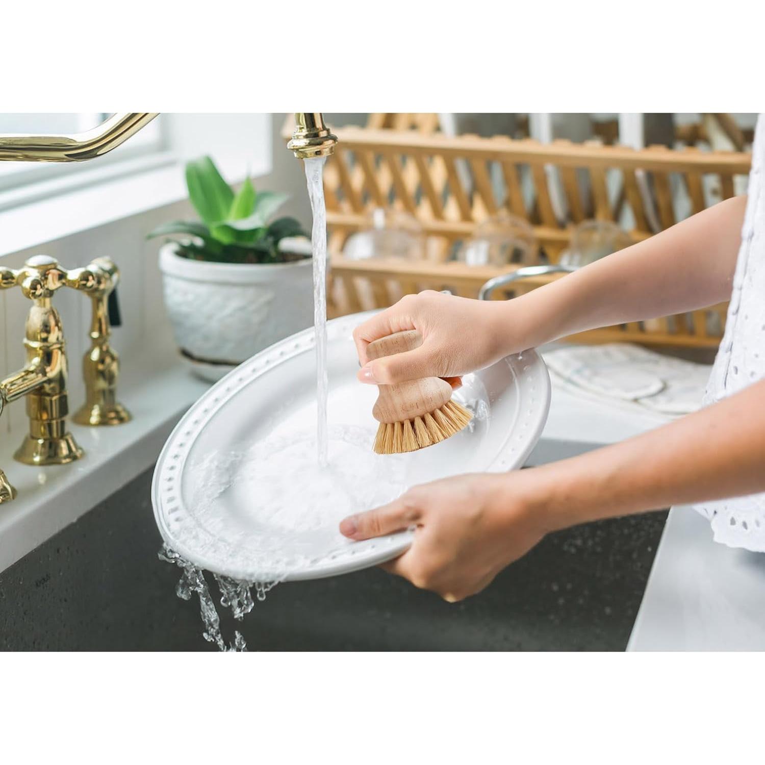 Cepillo de Fregado HIC Kitchen, Cerda Natural, Juego de 2