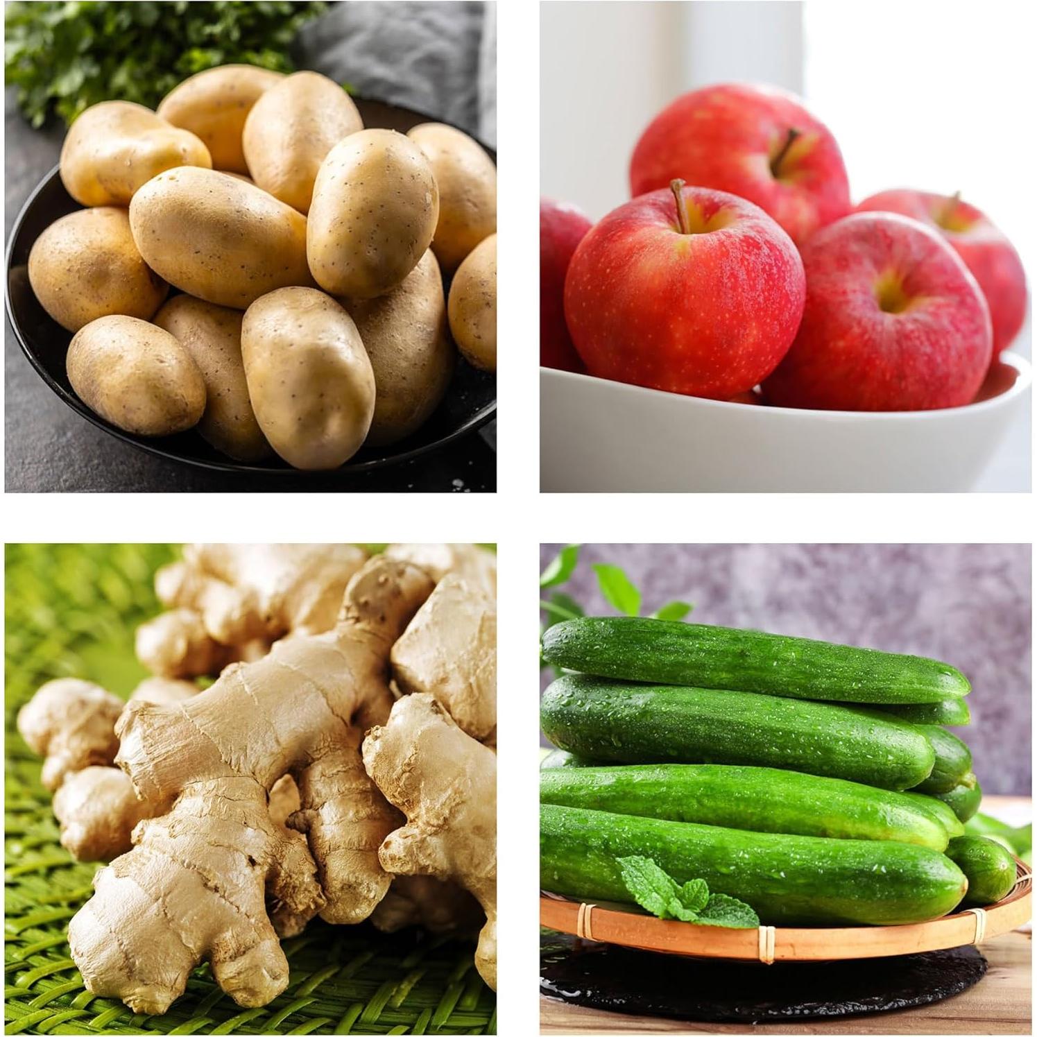 Cepillo de Fregado HIC Kitchen, Cerda Natural, Juego de 2