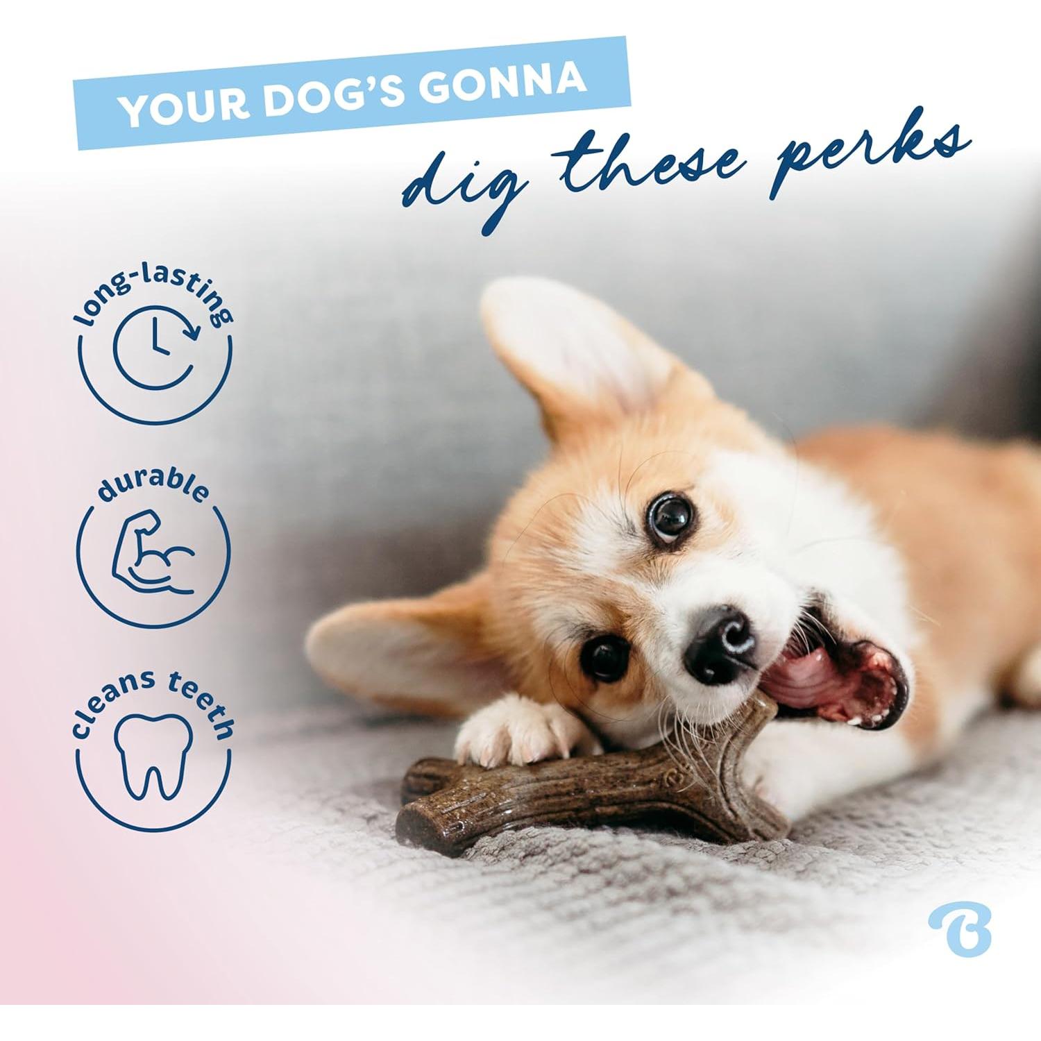 Benebone Juguete Masticable Cachorros Maplestick Sabor Arce