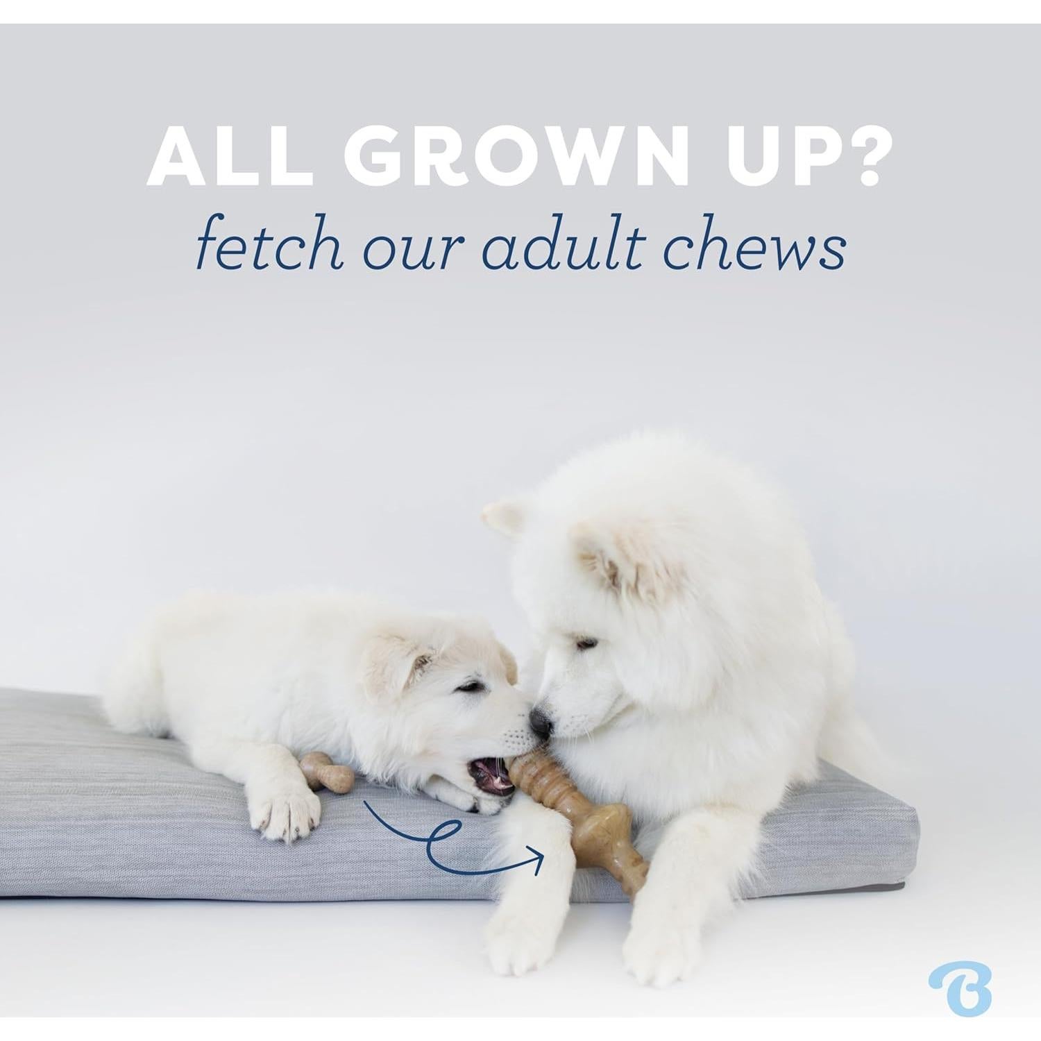 Benebone Juguete Masticable Cachorros Maplestick Sabor Arce