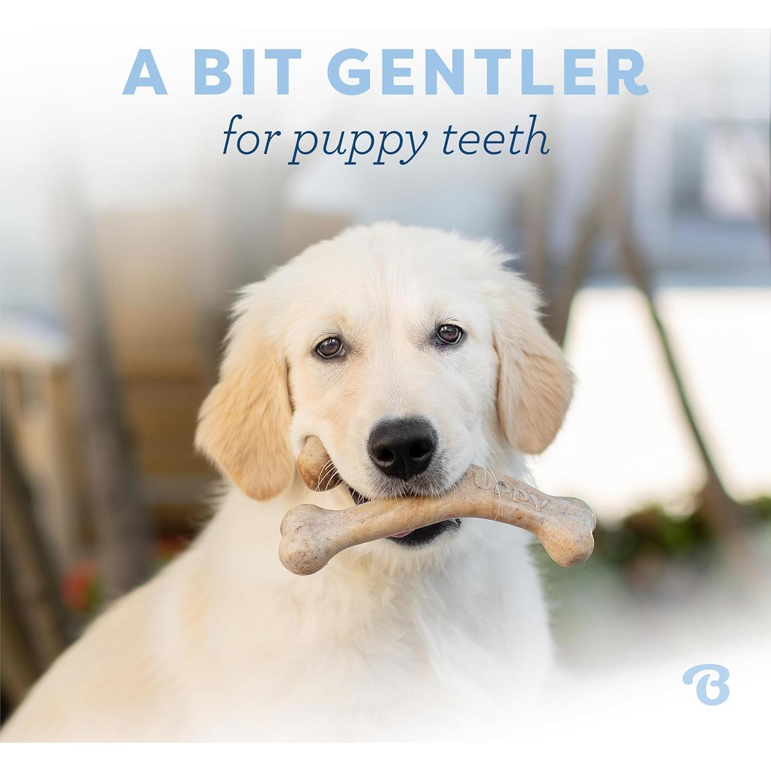 Benebone Juguete Masticable para Cachorros Medianos - Tocino Real