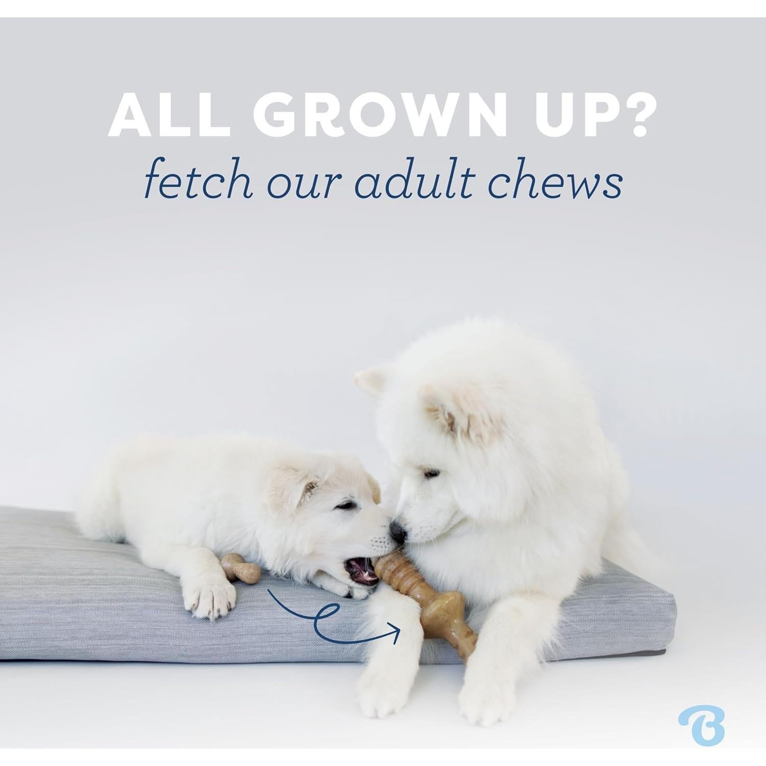 Benebone Juguete Masticable para Cachorros Medianos - Tocino Real