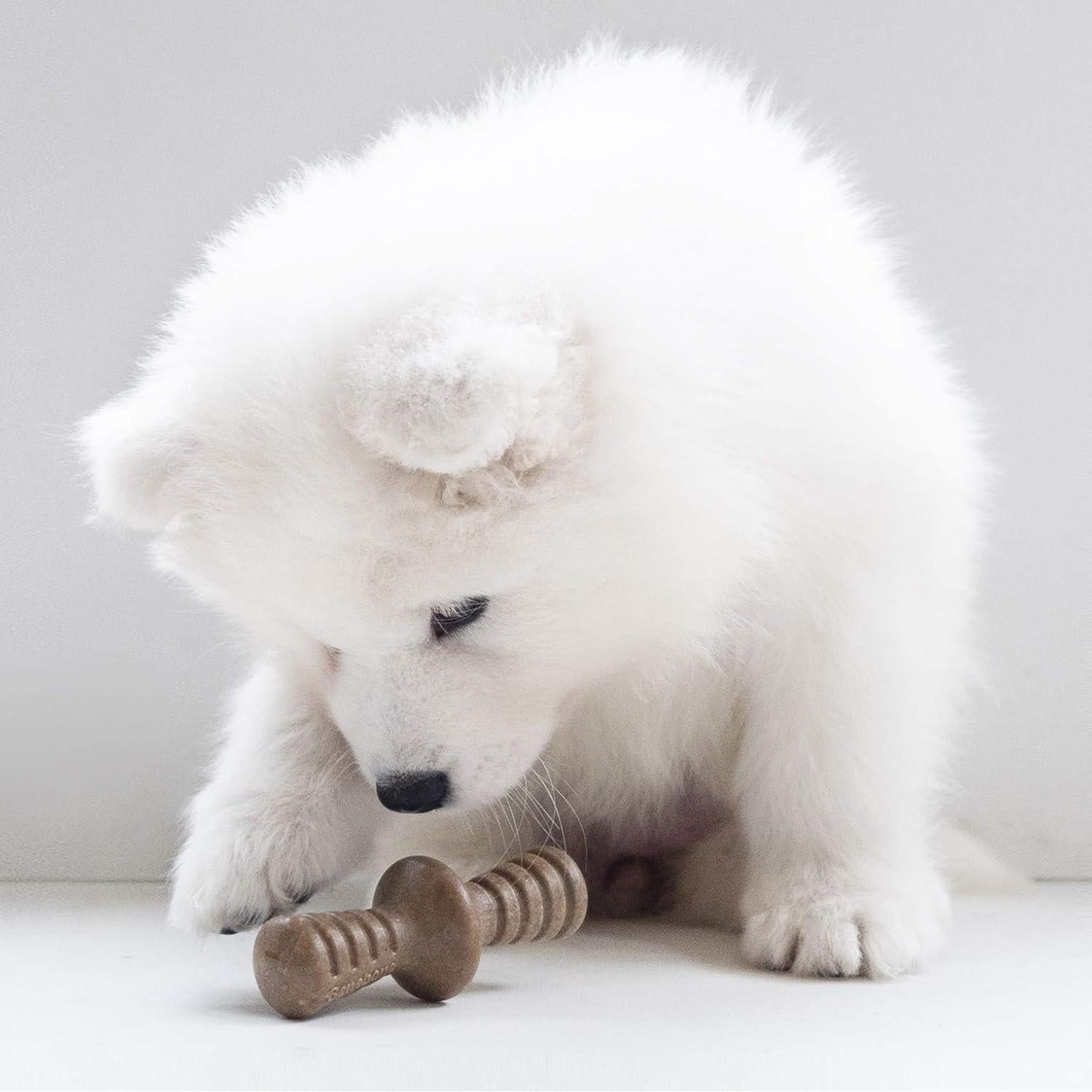 Benebone Cachorro 2-Pack Maplestick/Zaggler Juguetes Masticables