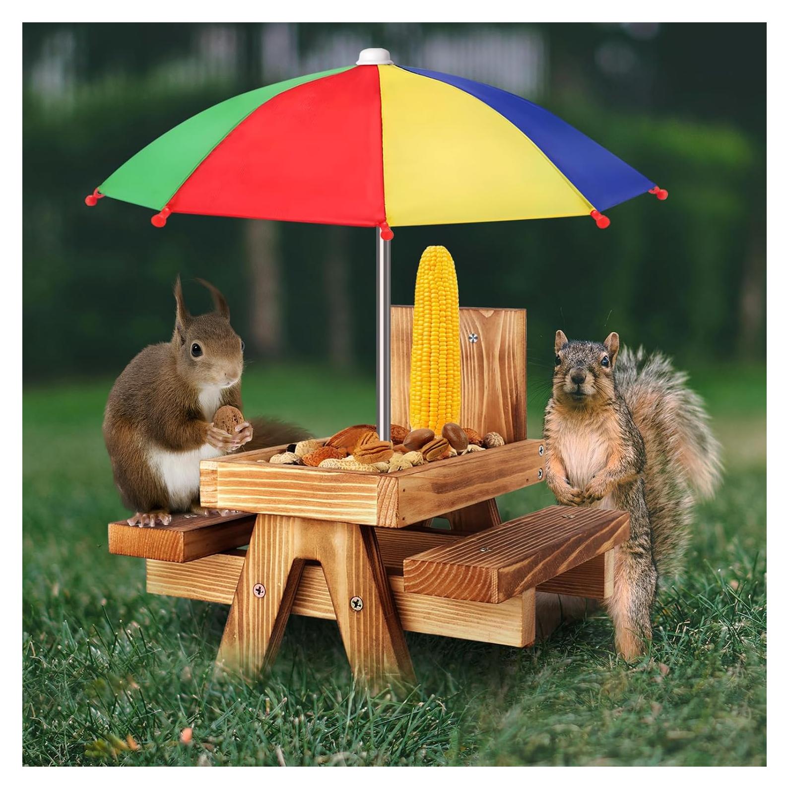 Comedero para Ardillas Gnodry con Paraguas Rojo - Exterior