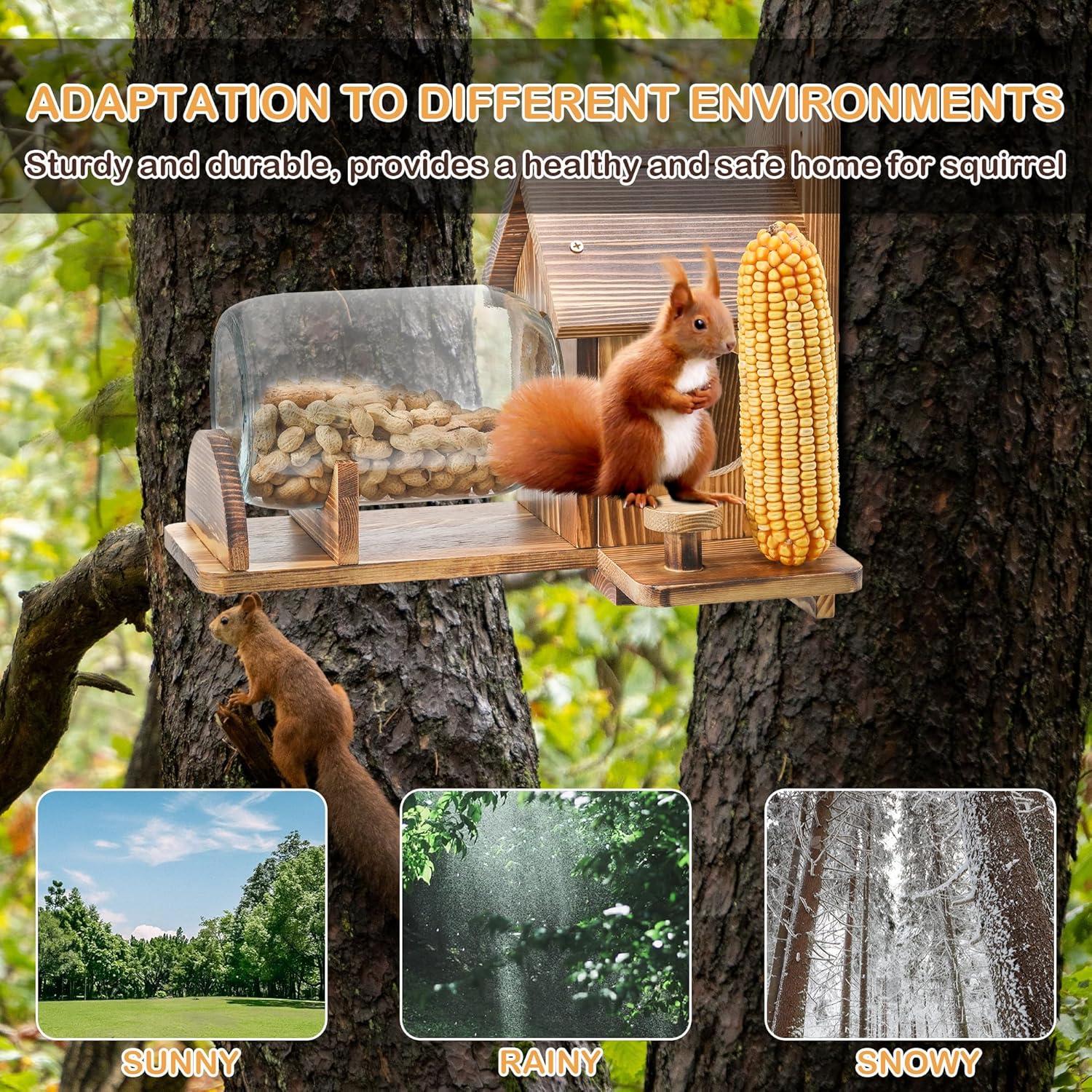 Comedero para Ardillas Boulphia de Madera con Frasco y Soporte