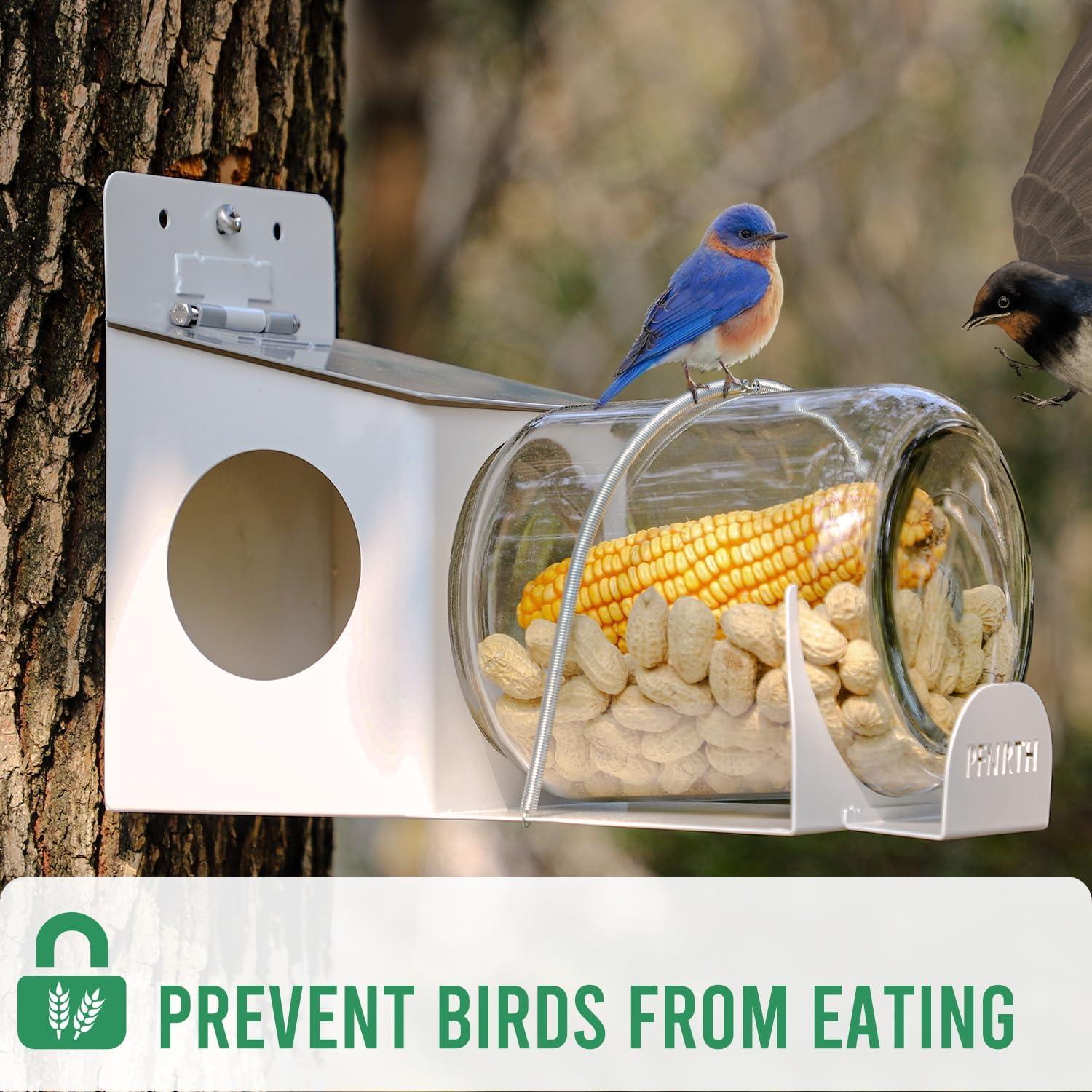 Comedero para Ardillas PFNRTH de Vidrio 1.89L Duradero