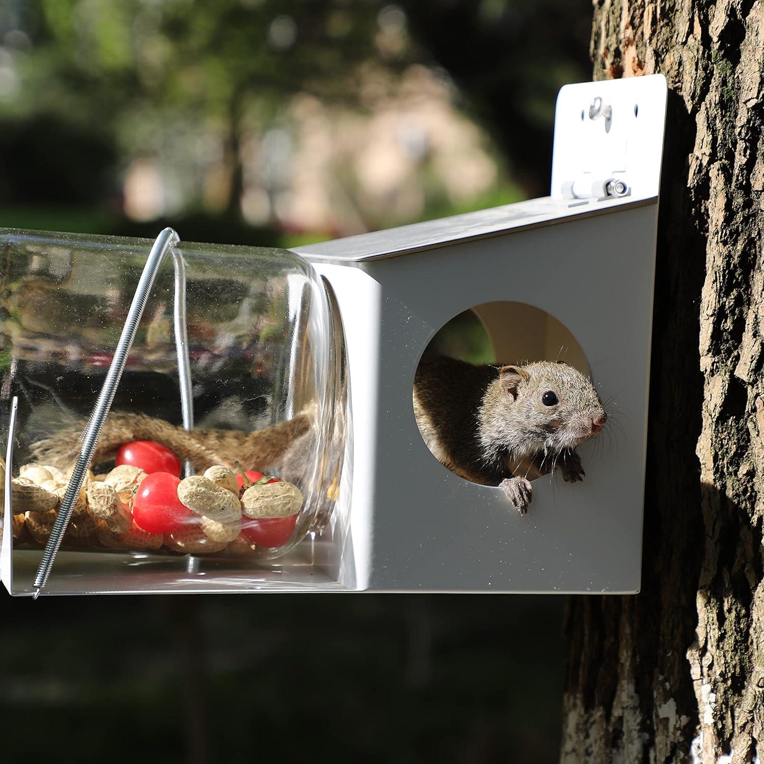 Comedero para Ardillas PFNRTH de Vidrio 1.89L Duradero