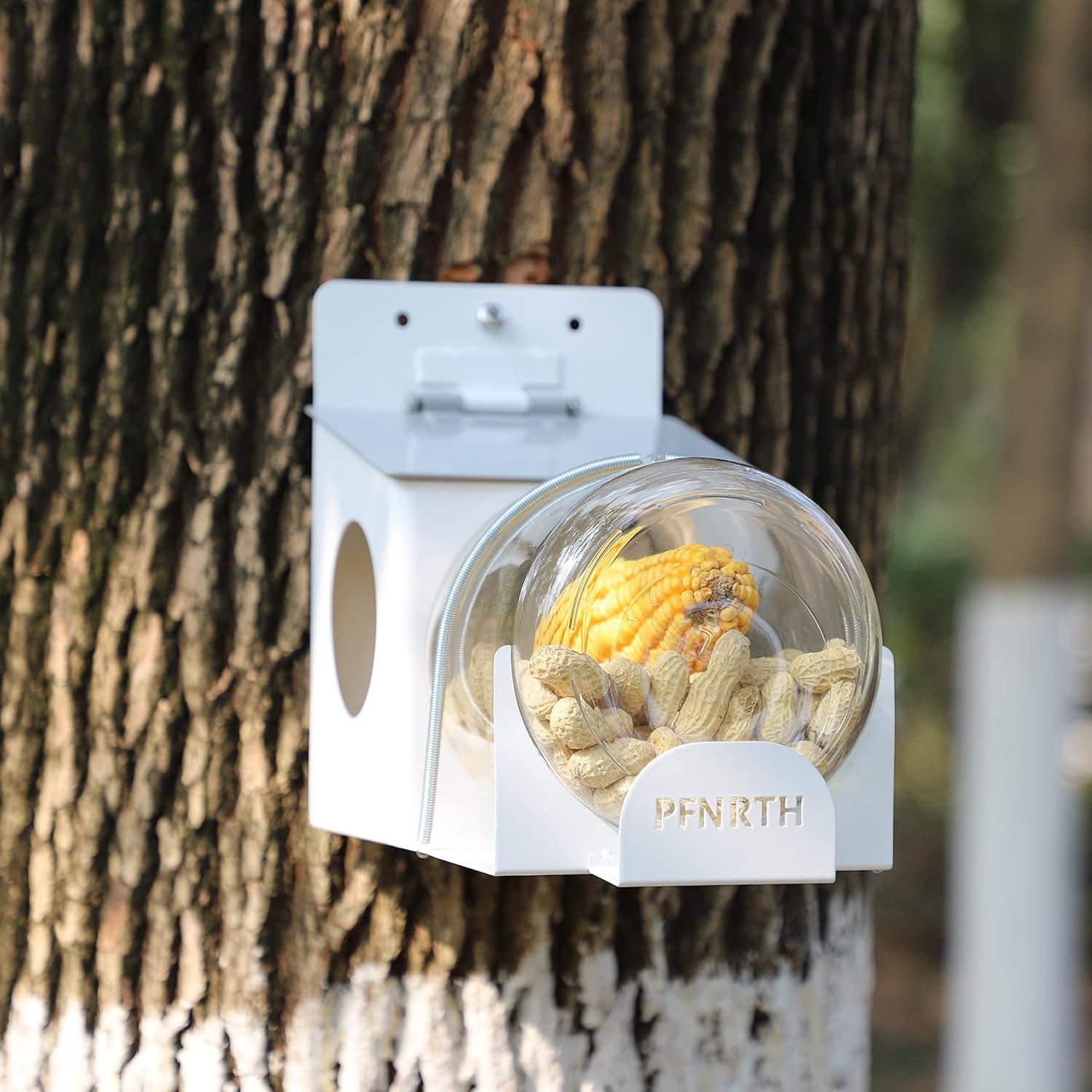 Comedero para Ardillas PFNRTH de Vidrio 1.89L Duradero