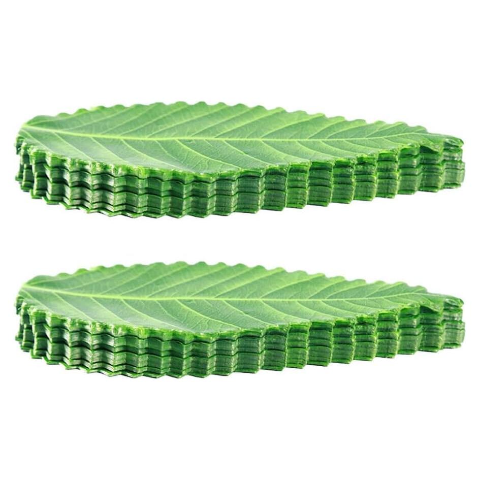 Hojas Decorativas para Sushi Ciieeo 200 Piezas Verde 11.9x6.2cm