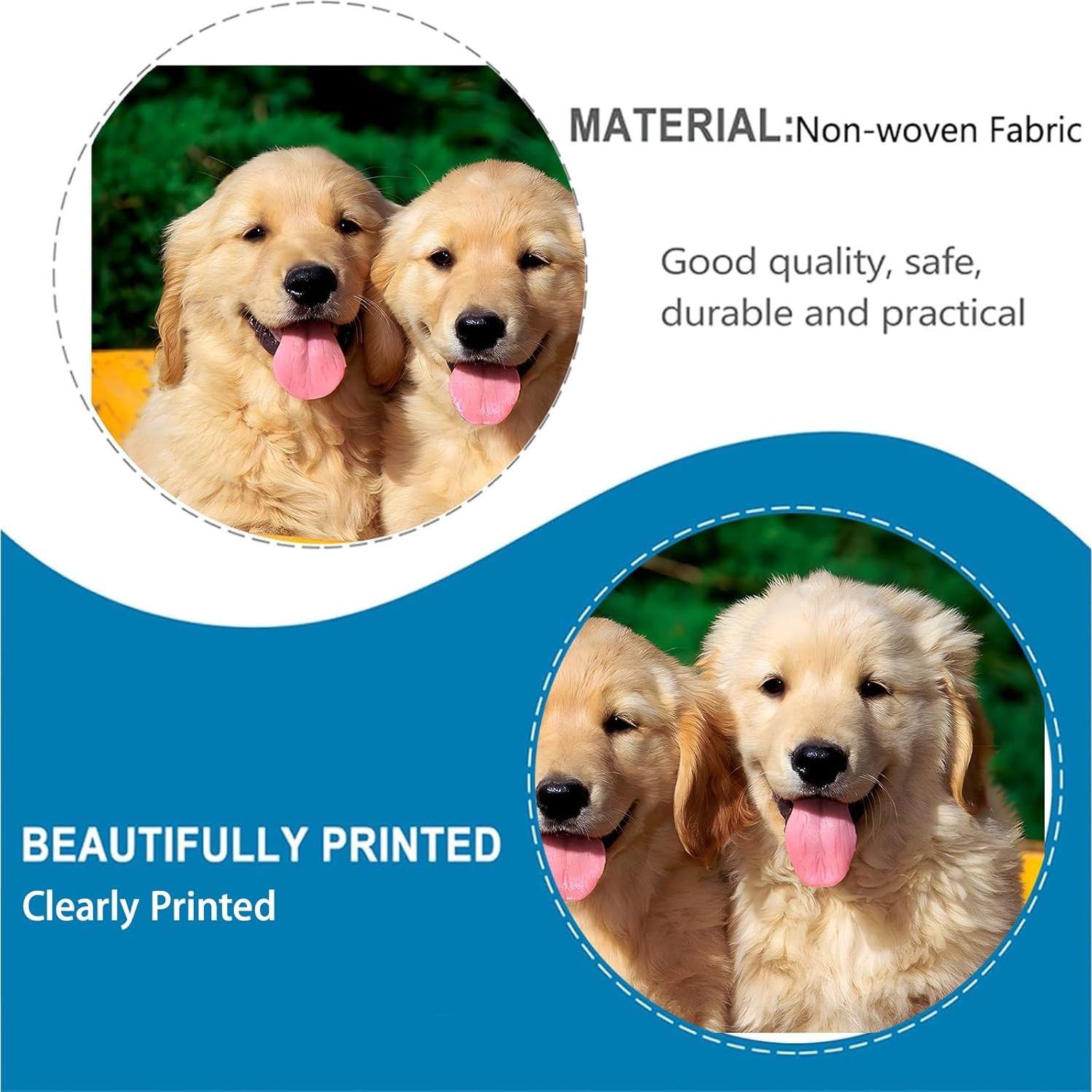 Alfombra de Puerta Interior VANZEV Sushi 43x75 cm Antideslizante