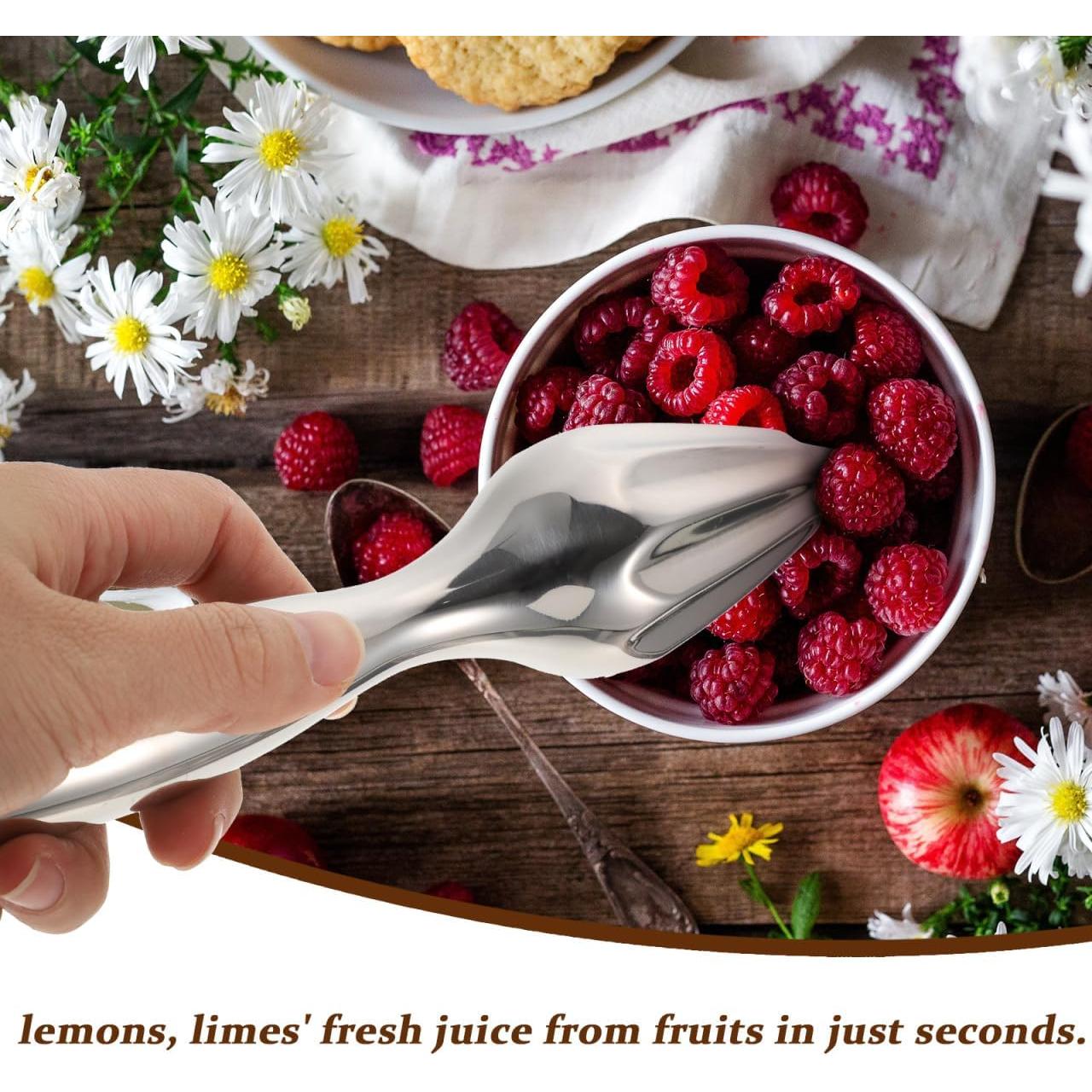 Exprimidor Manual de Limón Bestoyard de Acero Inoxidable