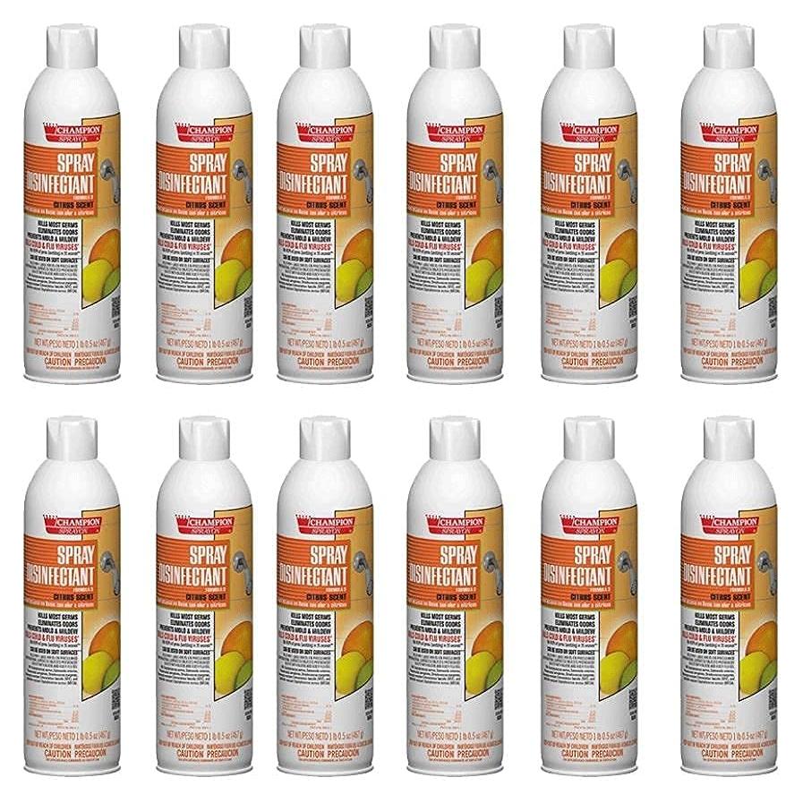 Limpiador en aerosol cítrico Champion 567 g - Elimina olores