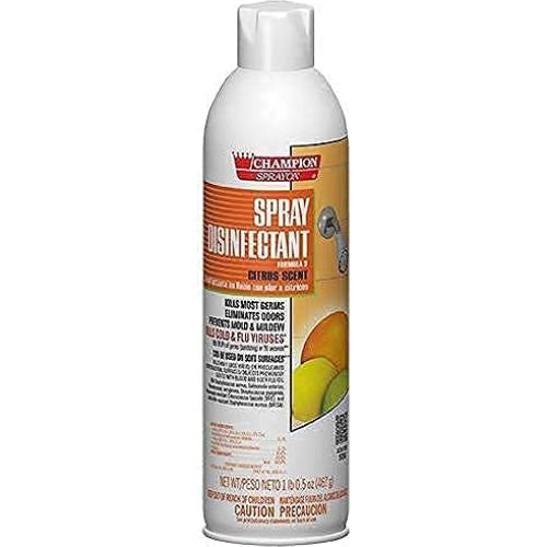 Limpiador en aerosol cítrico Champion 567 g - Elimina olores