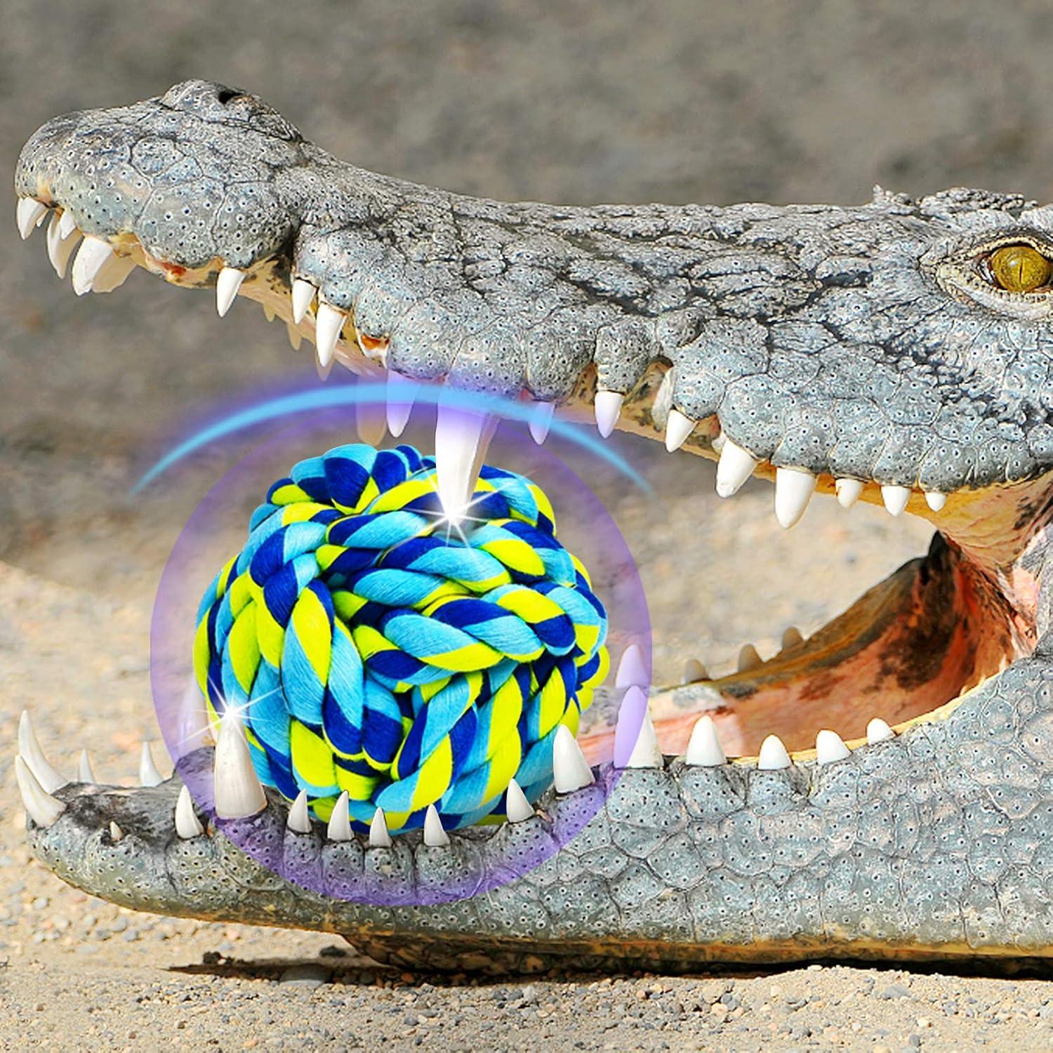 Juguetes para Perros SHARLOVY Paquete de 6 Indestructibles