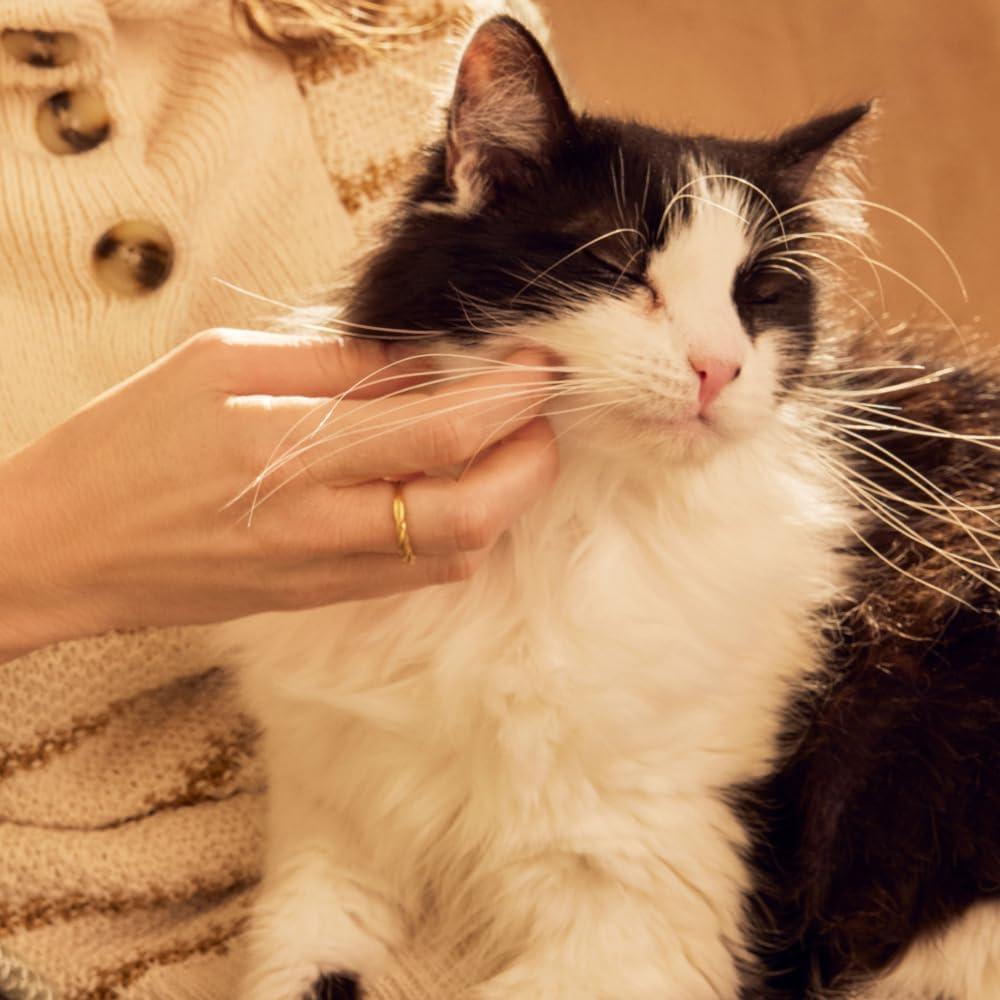 Spray Desodorante para Gatos Mrs. Meyer's Clean Day 226ml Durazno