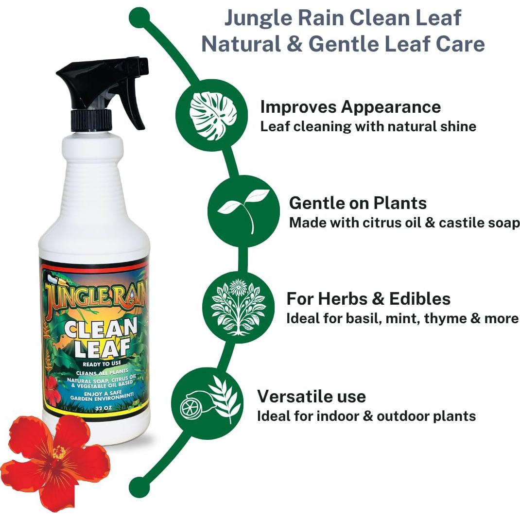 Limpiador Natural de Hojas Jungle Rain Clean Leaf 0.95L