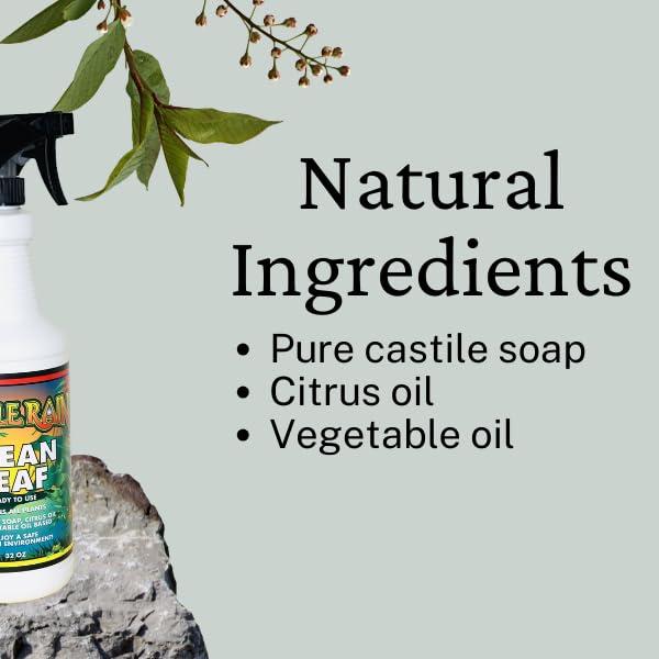 Limpiador Natural de Hojas Jungle Rain Clean Leaf 0.95L