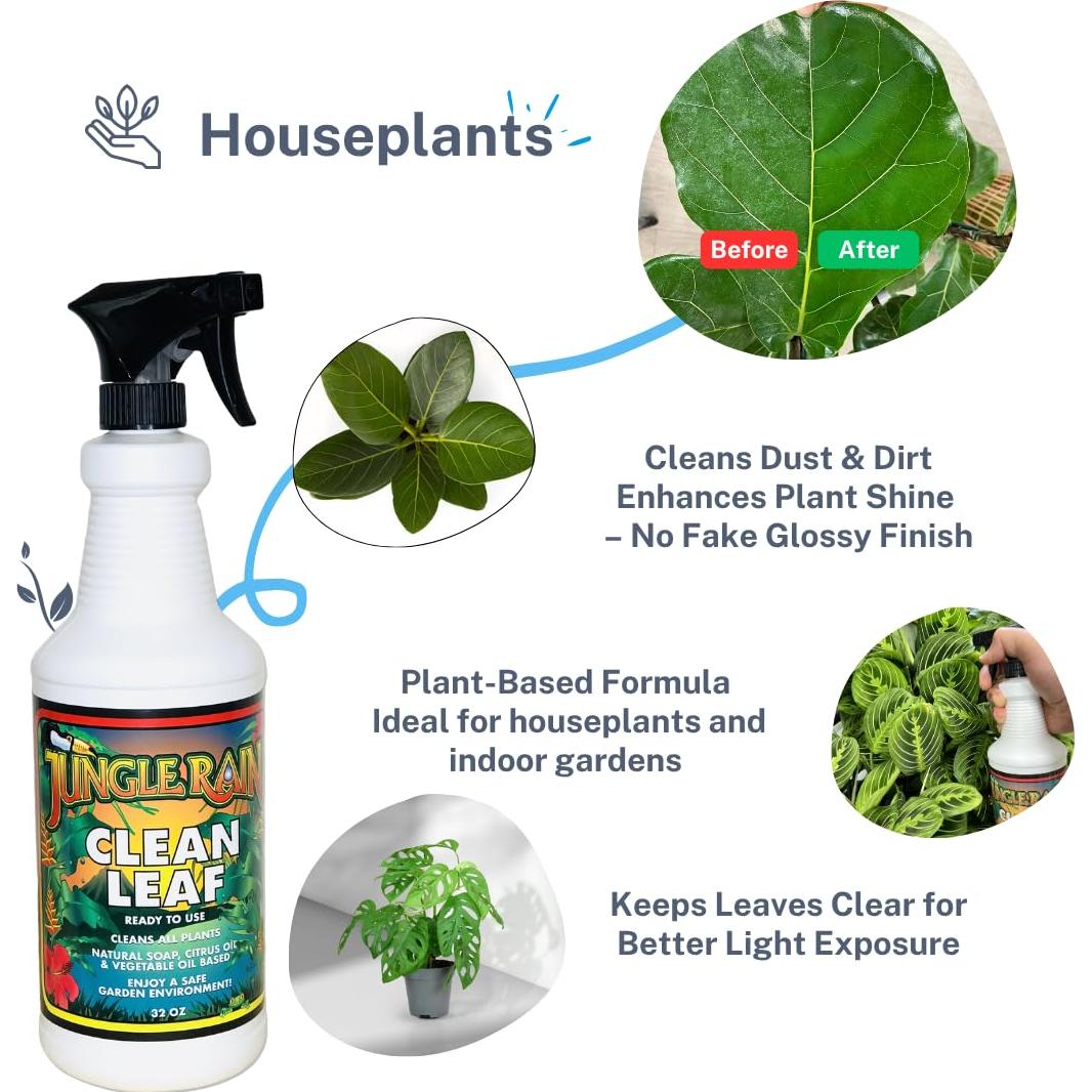 Limpiador Natural de Hojas Jungle Rain Clean Leaf 0.95L