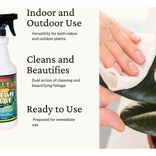 Limpiador Natural de Hojas Jungle Rain Clean Leaf 0.95L