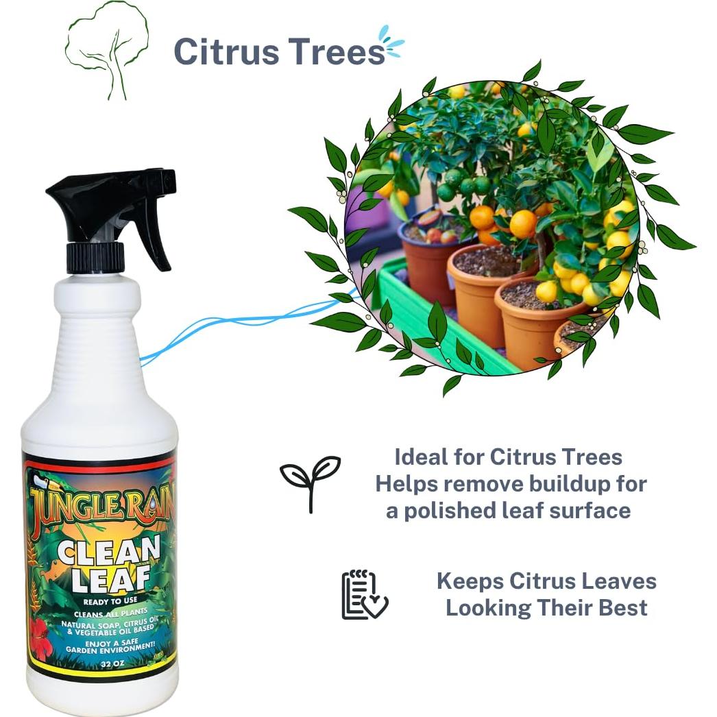 Limpiador Natural de Hojas Jungle Rain Clean Leaf 0.95L