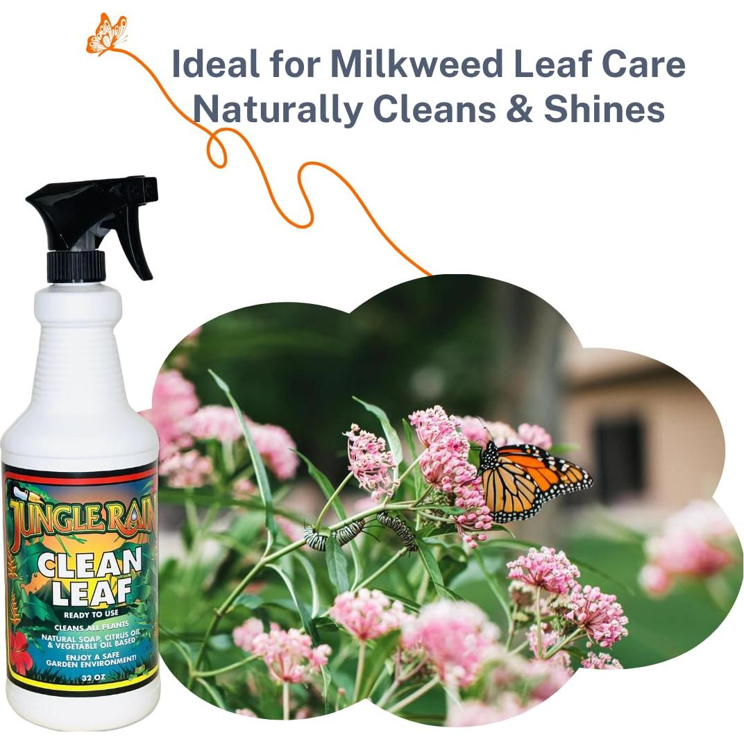 Limpiador Natural de Hojas Jungle Rain Clean Leaf 0.95L