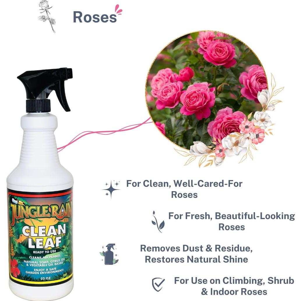 Limpiador Natural de Hojas Jungle Rain Clean Leaf 0.95L