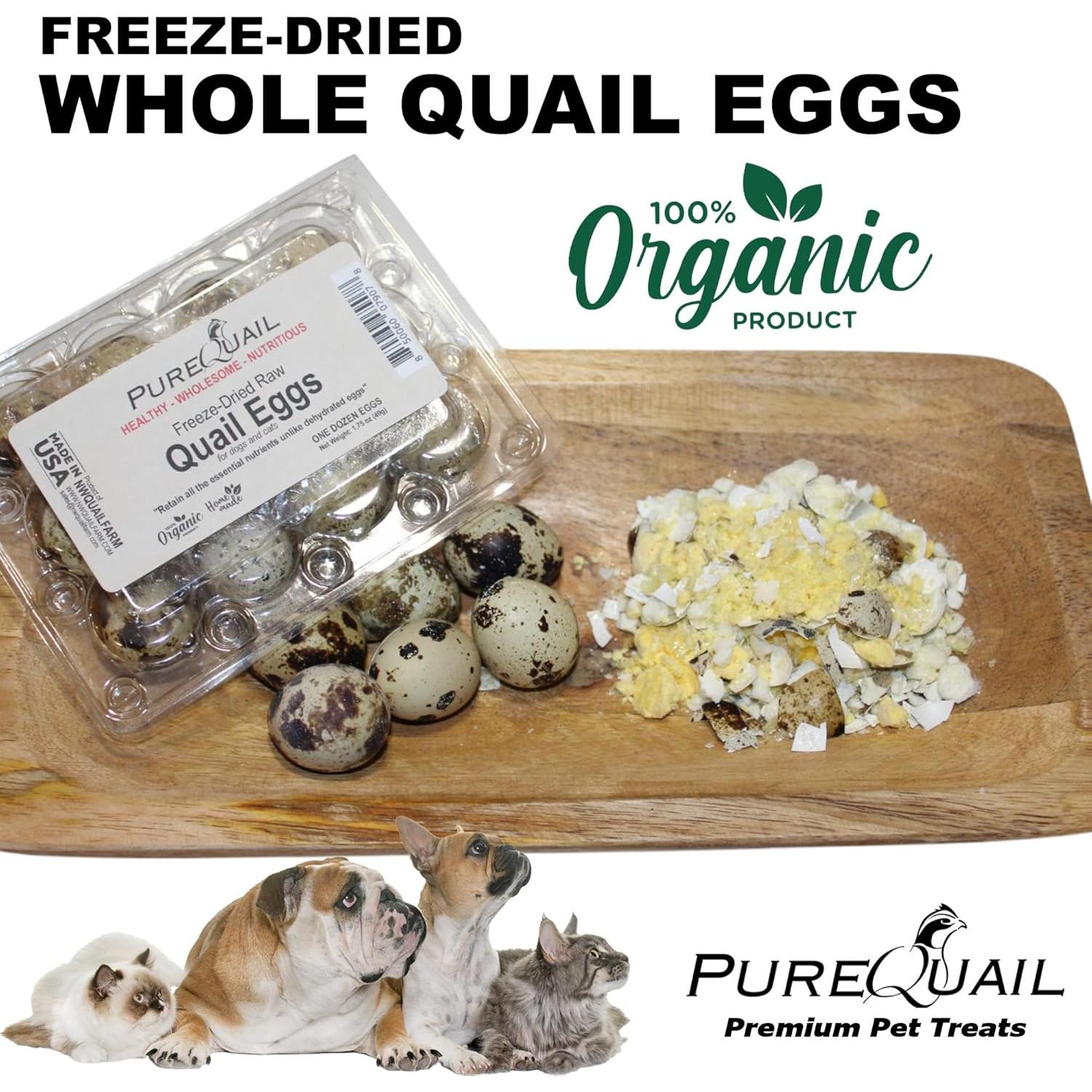 Topping Liofilizado de Huevo de Codorniz Orgánico PureQuail - 12 Unidades - Alto en Proteínas