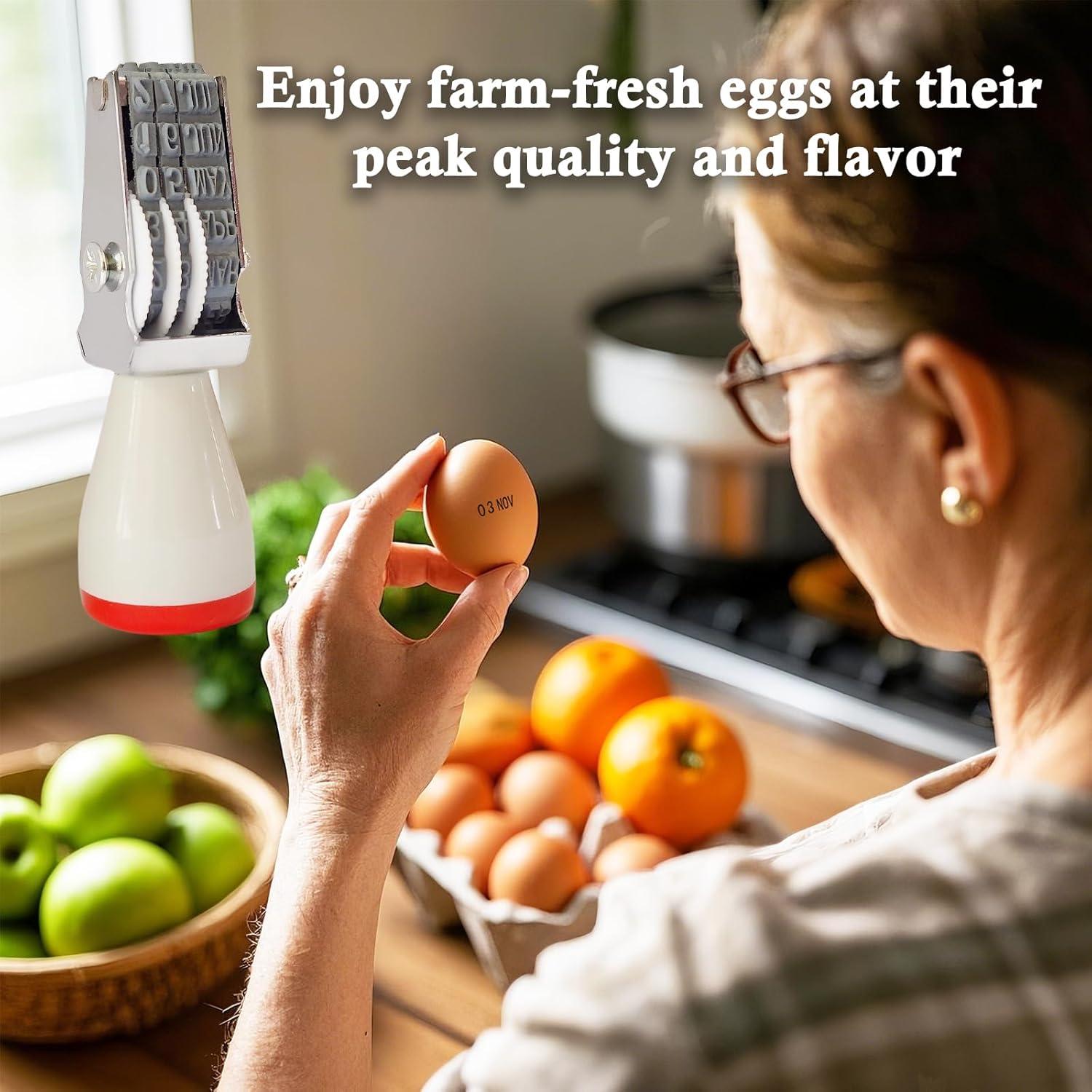 Kit de Fechado de Huevos Aunewrick con Sello y Tintas Seguras