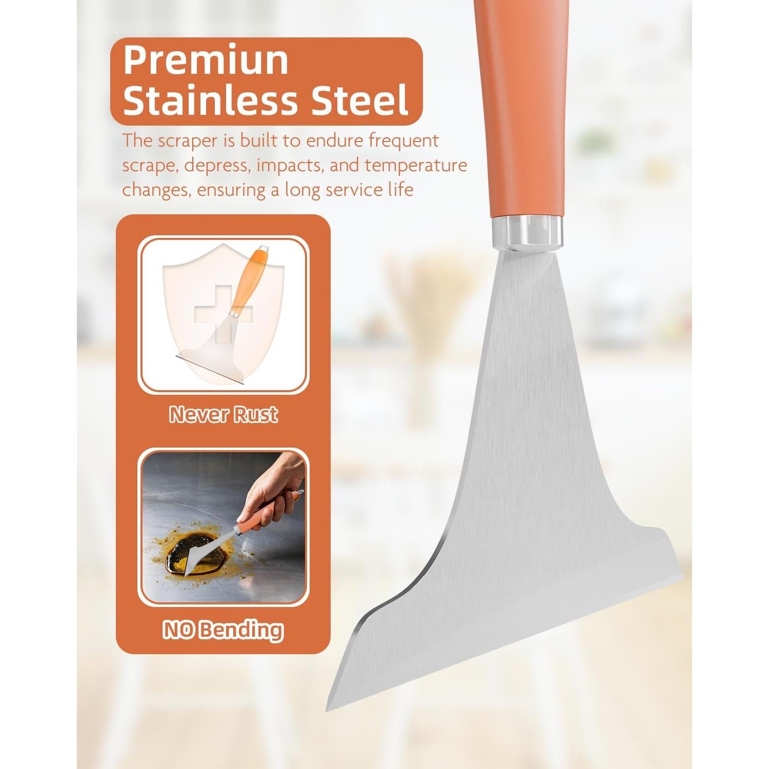 Raspador de Plancha LEIFENY M5Z84LEUV Acero Inoxidable 164g