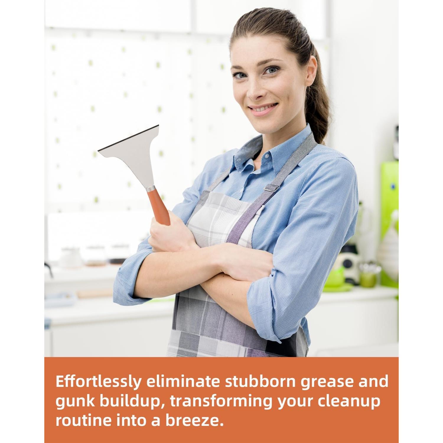 Raspador de Plancha LEIFENY M5Z84LEUV Acero Inoxidable 164g