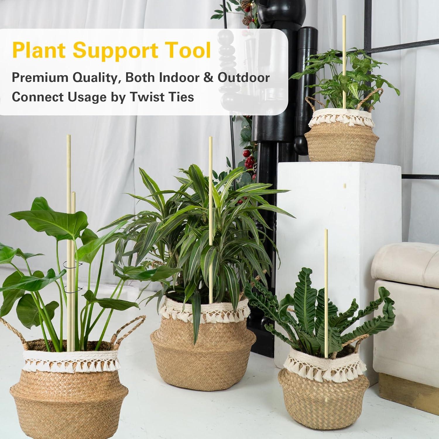 100 Palillos de Bambú Natural 20cm Sprigra para Jardín y BBQ