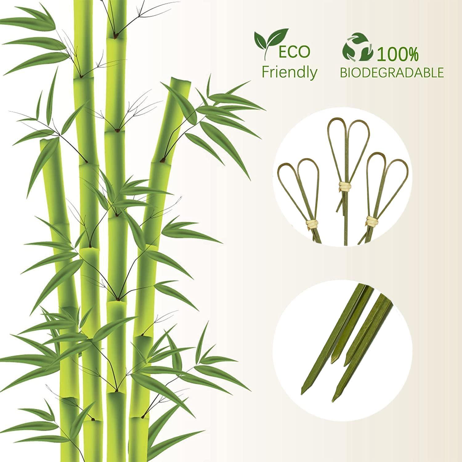 100 Palillos de Cóctel de Bambú Corazón HXYCNNA 12 cm Cian