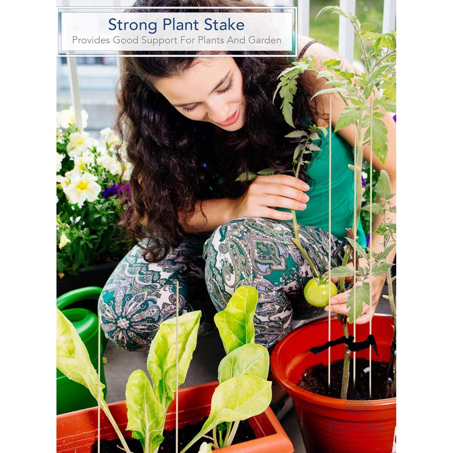 Estacas de Madera Natural Royal Imports 60.96 cm 100 Pcs