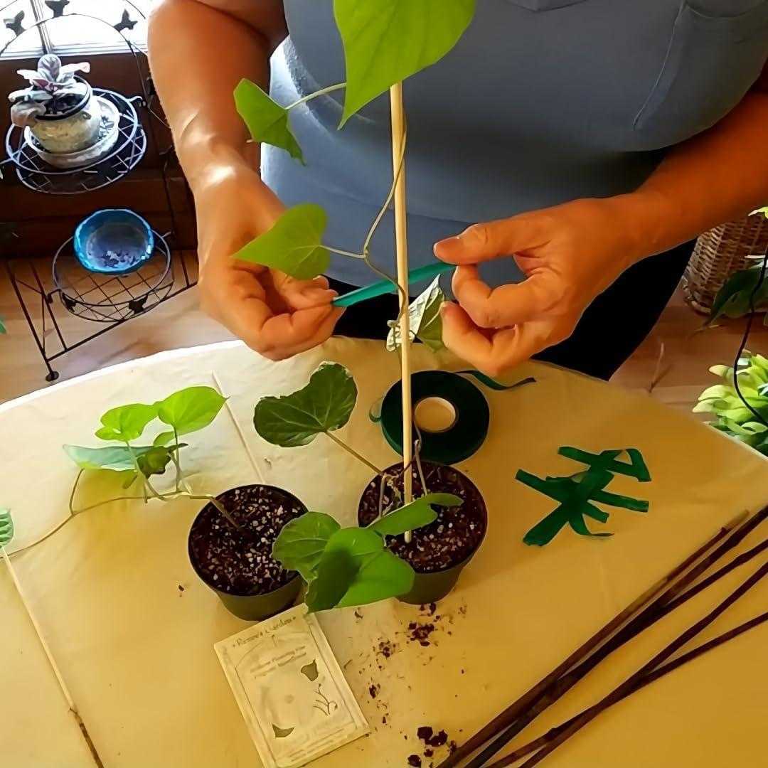 Paquete de 40 estacas de bambú Newflager 45.72 cm para jardinería