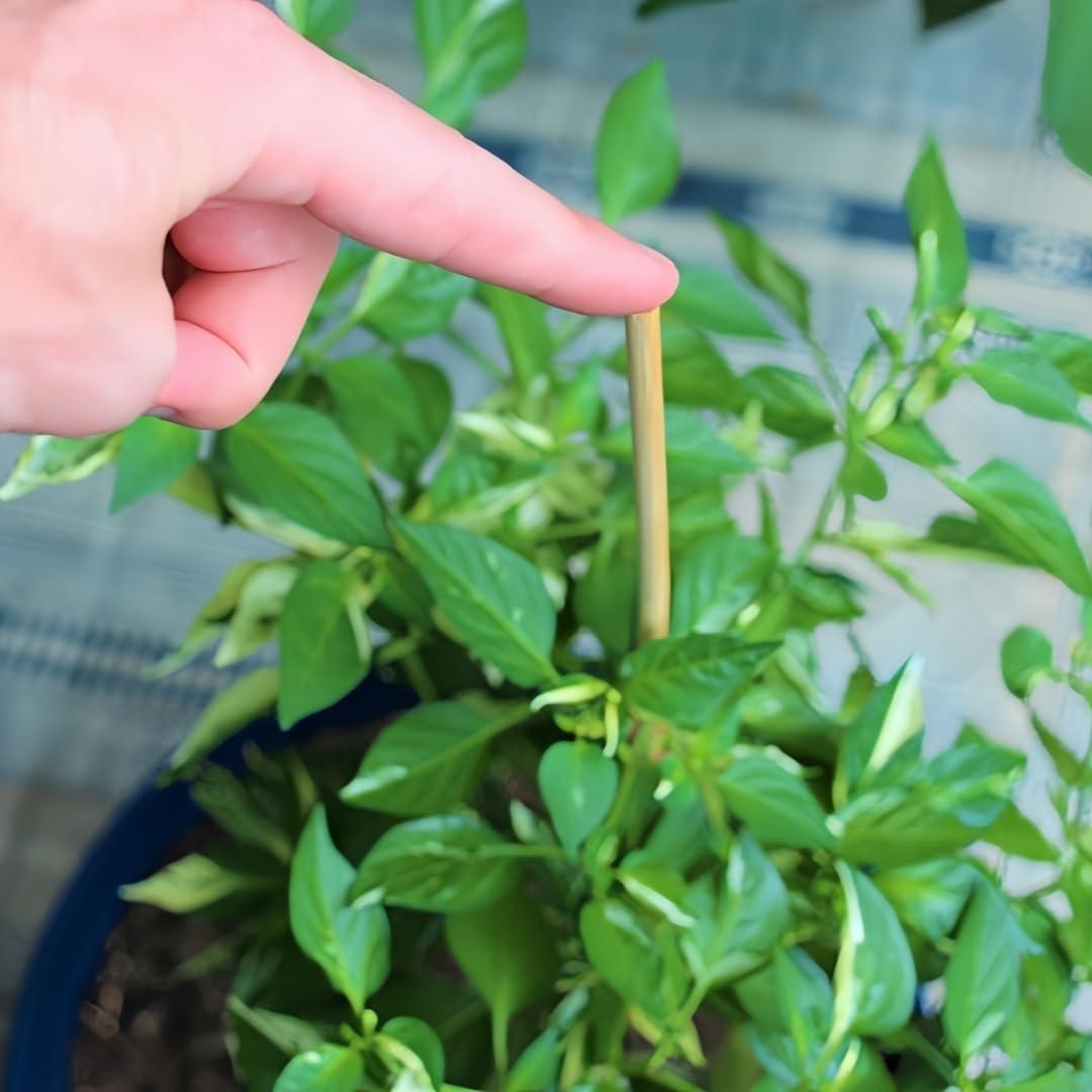 Paquete de 40 estacas de bambú Newflager 45.72 cm para jardinería