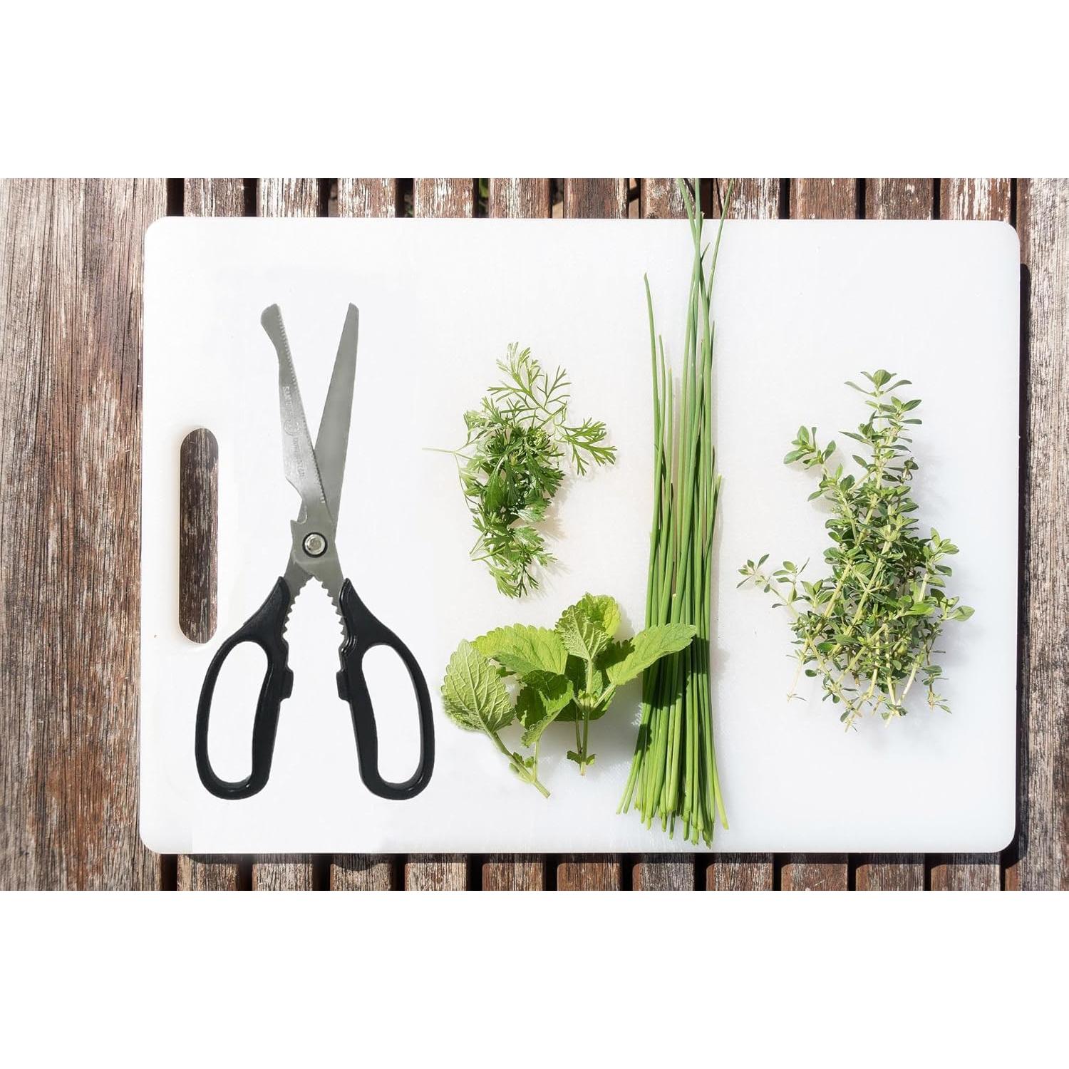 Tijeras de Cocina Multifuncionales SD Queen Acero Inoxidable 25.5cm