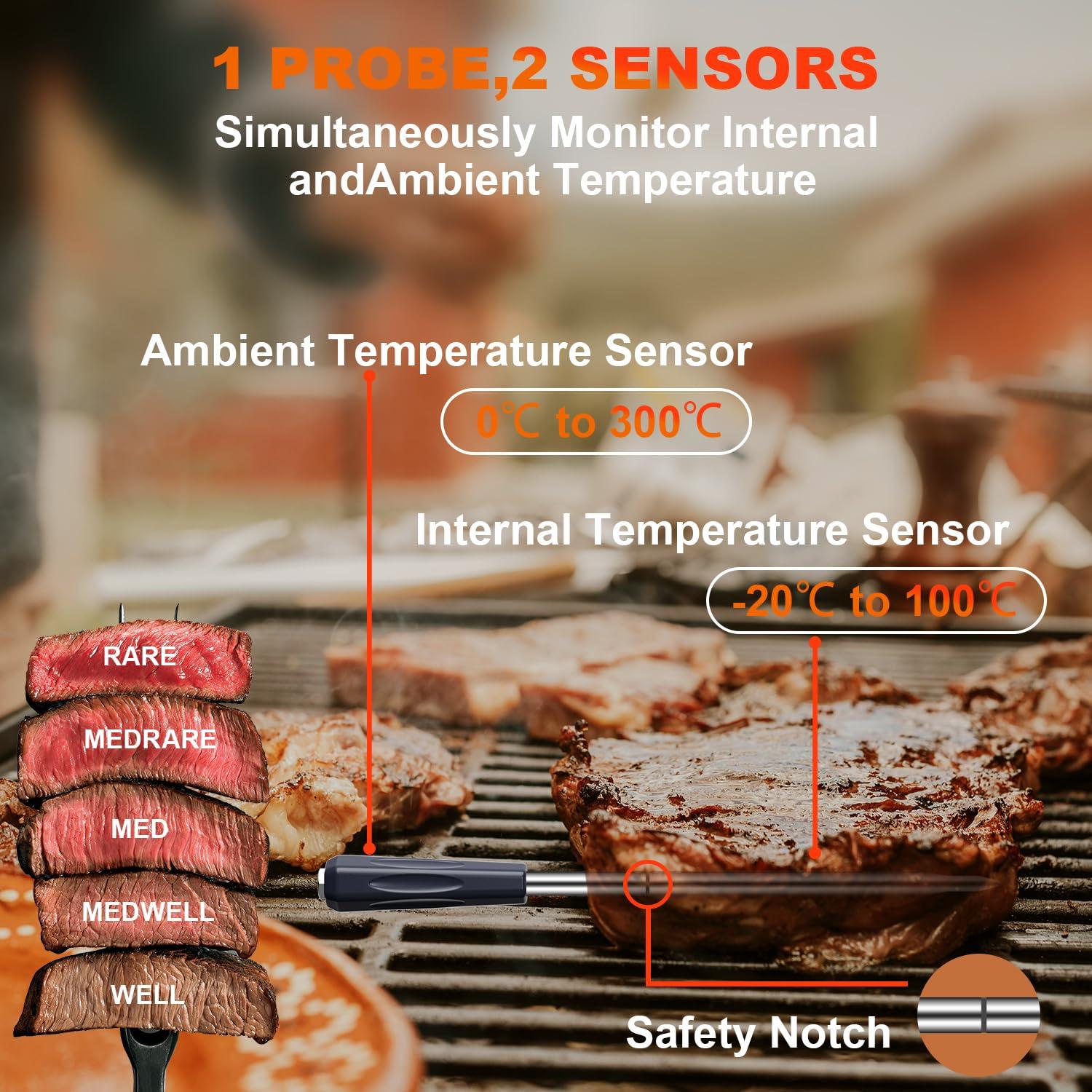 Termómetro Inalámbrico DENT Smart - Bluetooth con Duales Probes para BBQ