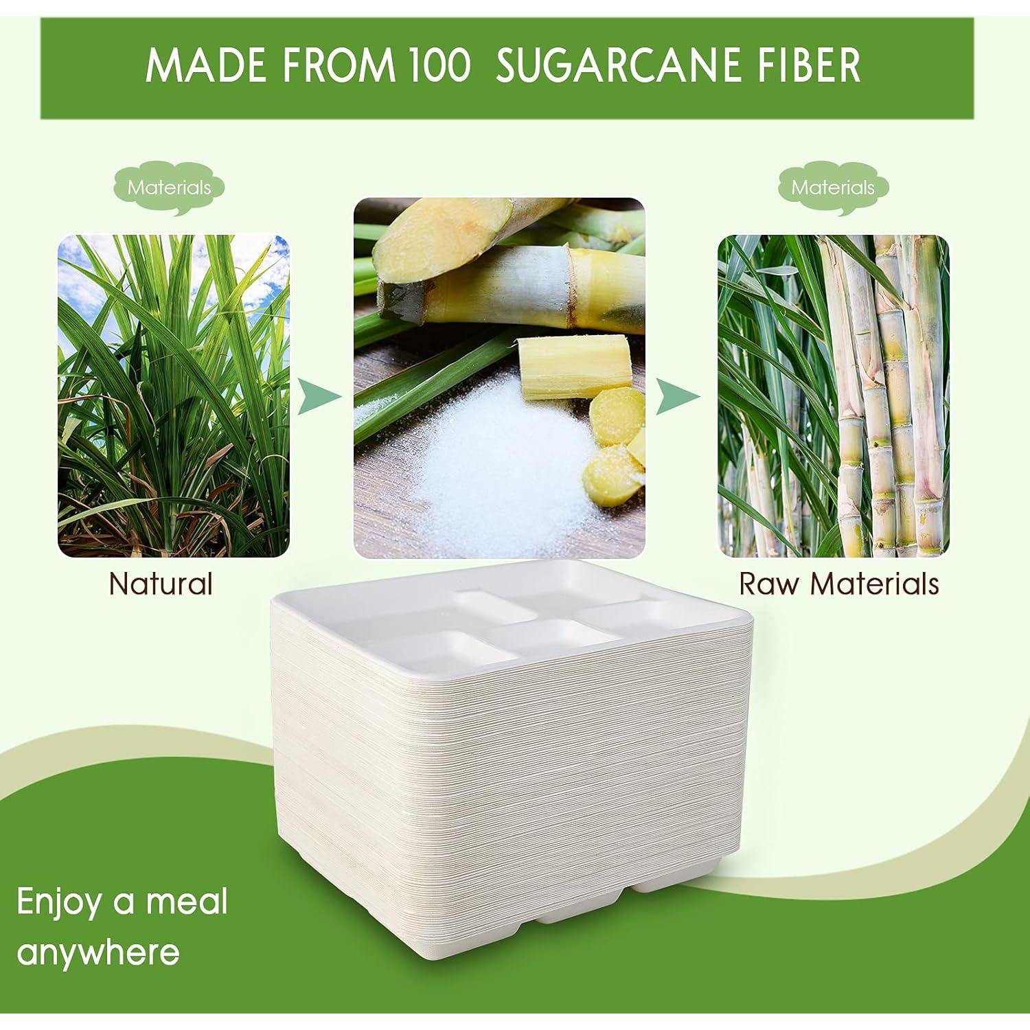 Platos Compostables Vplus 125 Unidades 5 Compartimentos 26x21 cm