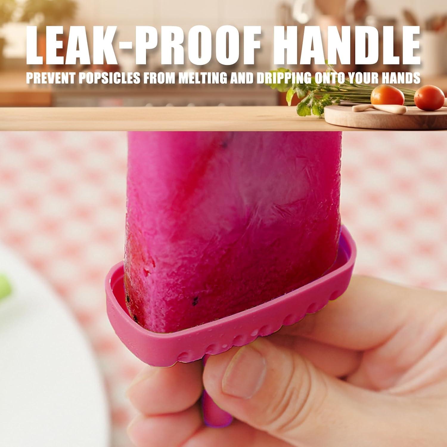 Moldes de Paletas Reutilizables Doudouyun 6 Cavidades BPA Free