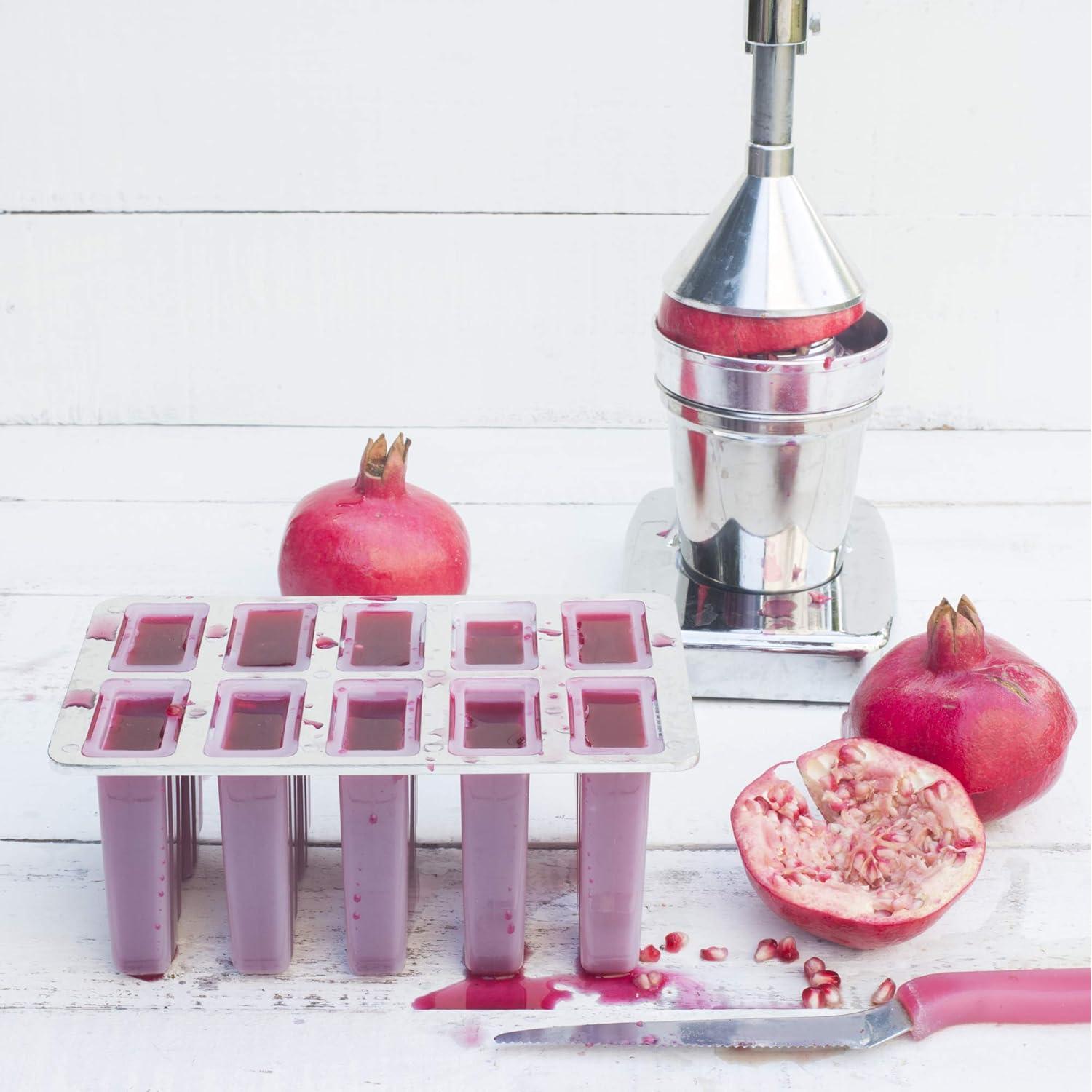 Fabricante de Paletas Congeladas Fox Run 10 Paletas 85g BPA Free