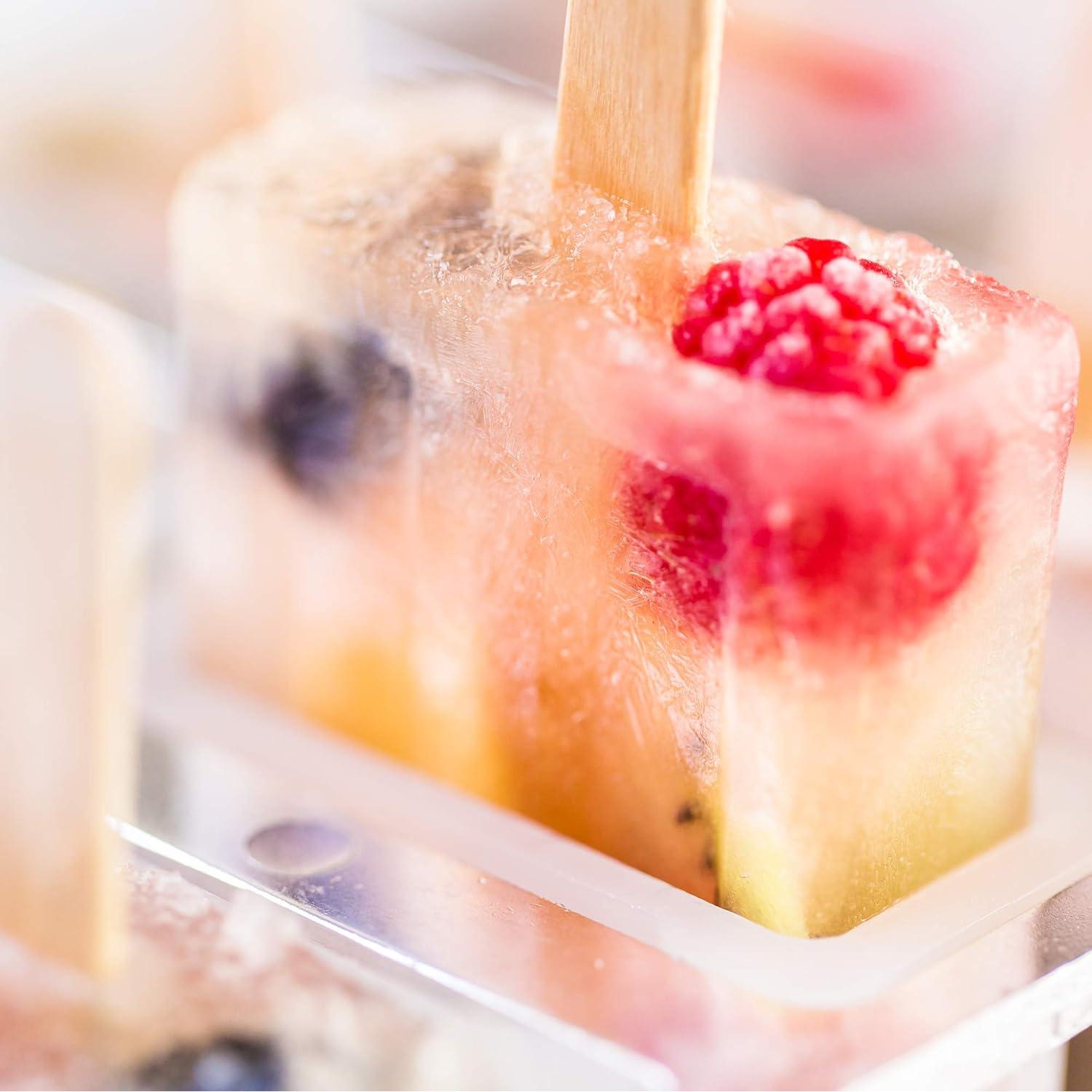 Fabricante de Paletas Congeladas Fox Run 10 Paletas 85g BPA Free