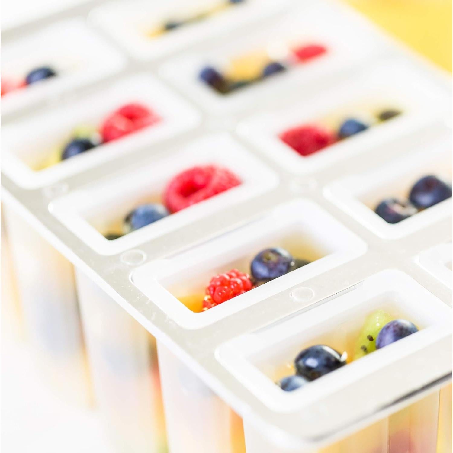 Fabricante de Paletas Congeladas Fox Run 10 Paletas 85g BPA Free