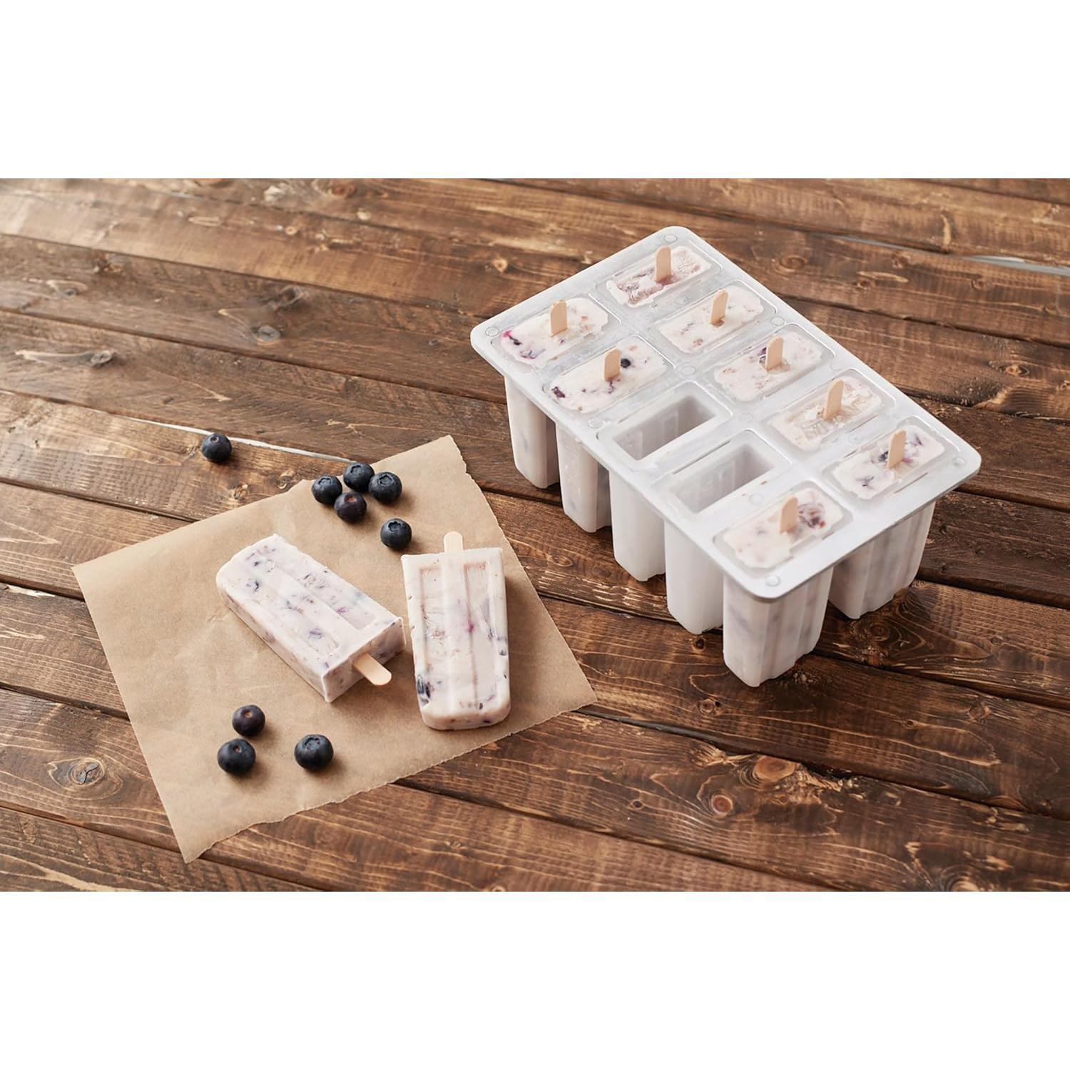 Fabricante de Paletas Congeladas Fox Run 10 Paletas 85g BPA Free