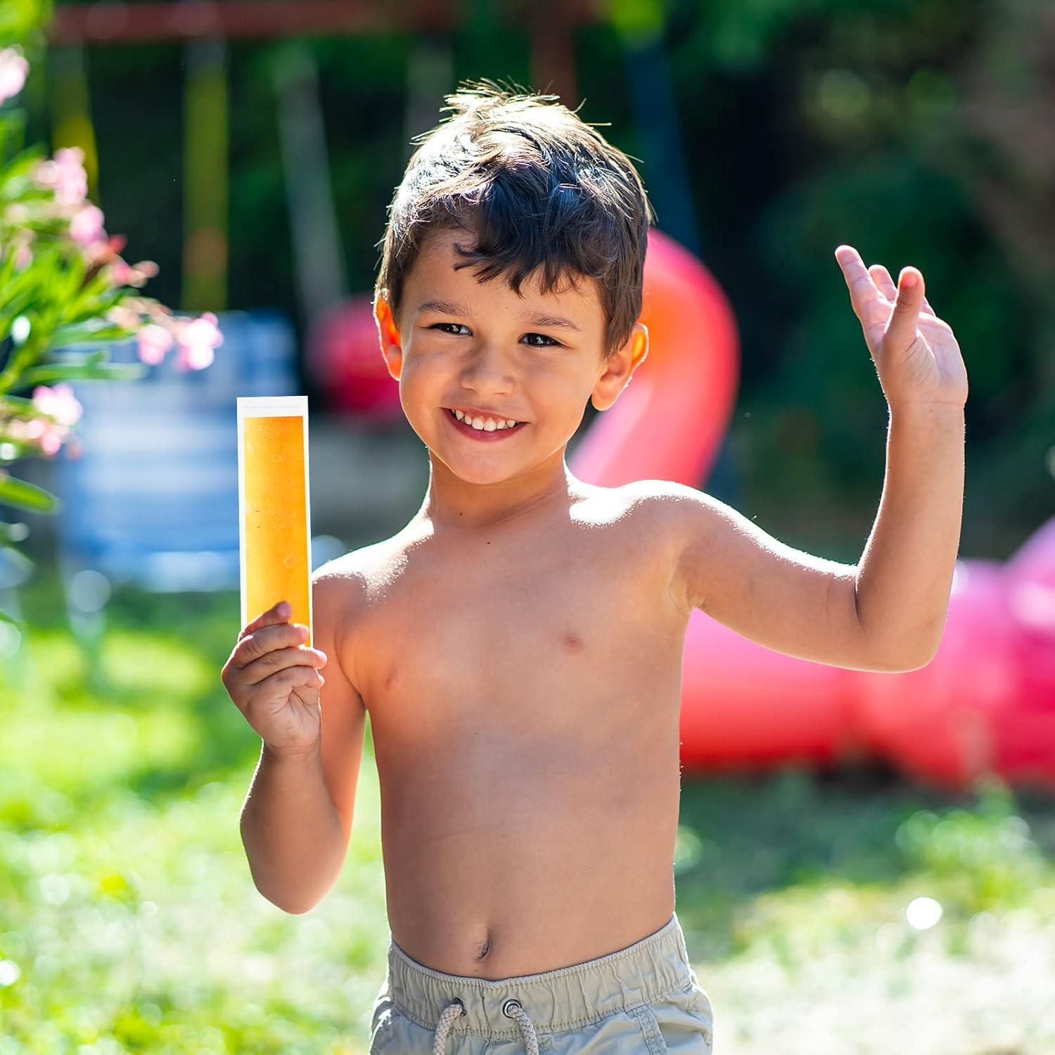 Bolsas de Moldes de Paletas LOMIMOS 160pcs 27.94x5.58cm