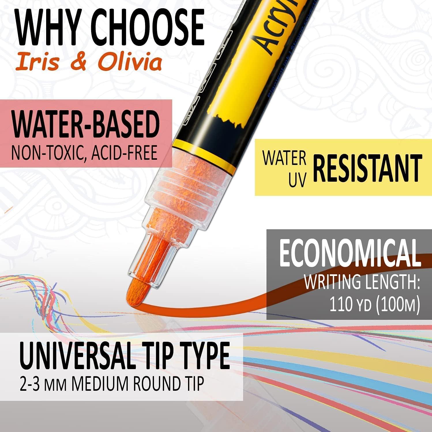 Juego de Marcadores Acrílicos IRIS & OLIVIA - 12 Colores para Pintura