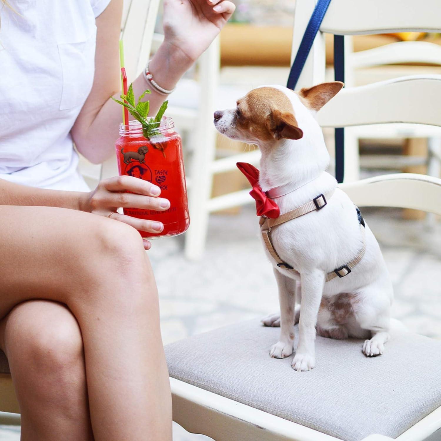 Set de 6 Encantos Magnéticos para Copas Simply Charmed - Perros