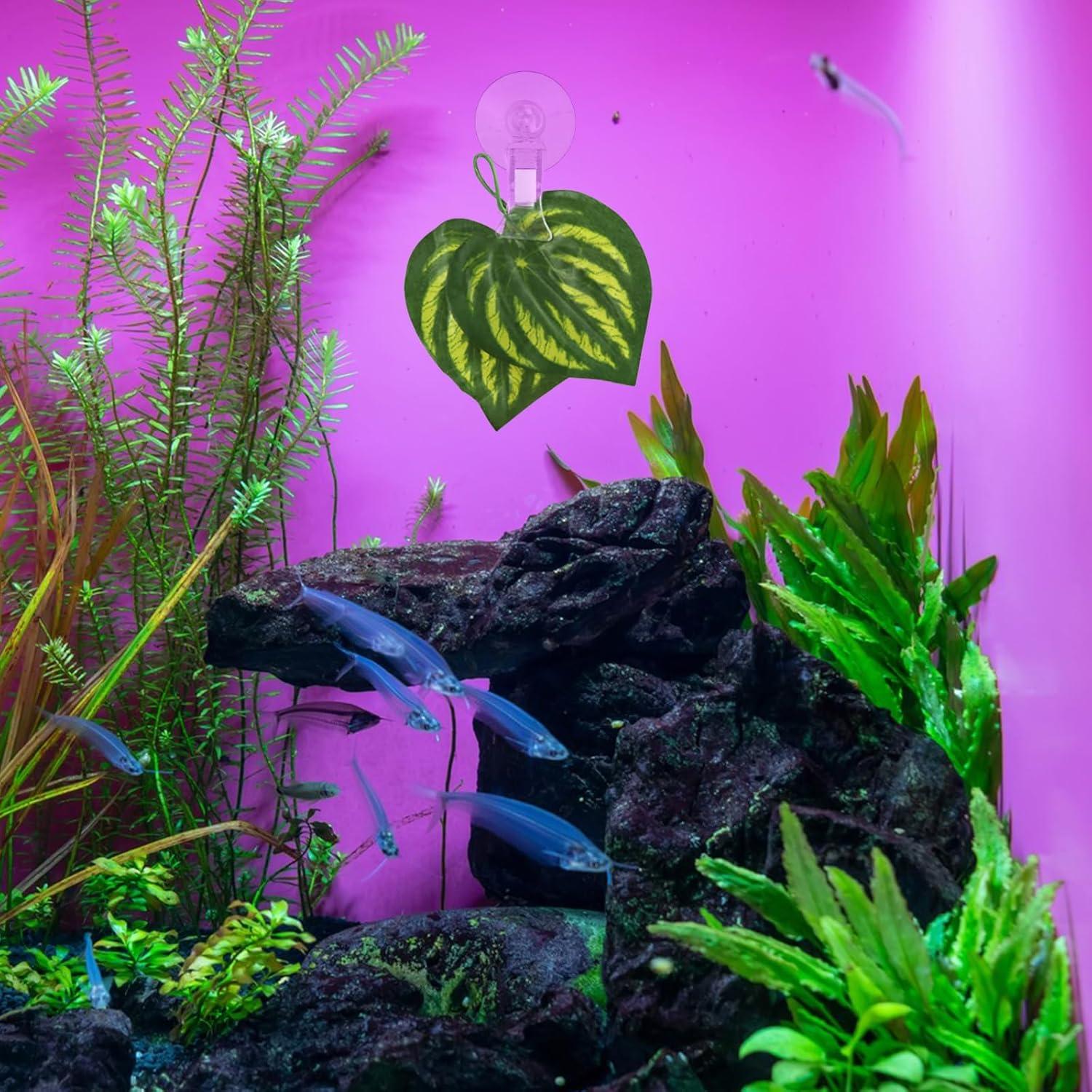 12 Clips de Ventosa de Plástico Sankoly para Ventana Cristal